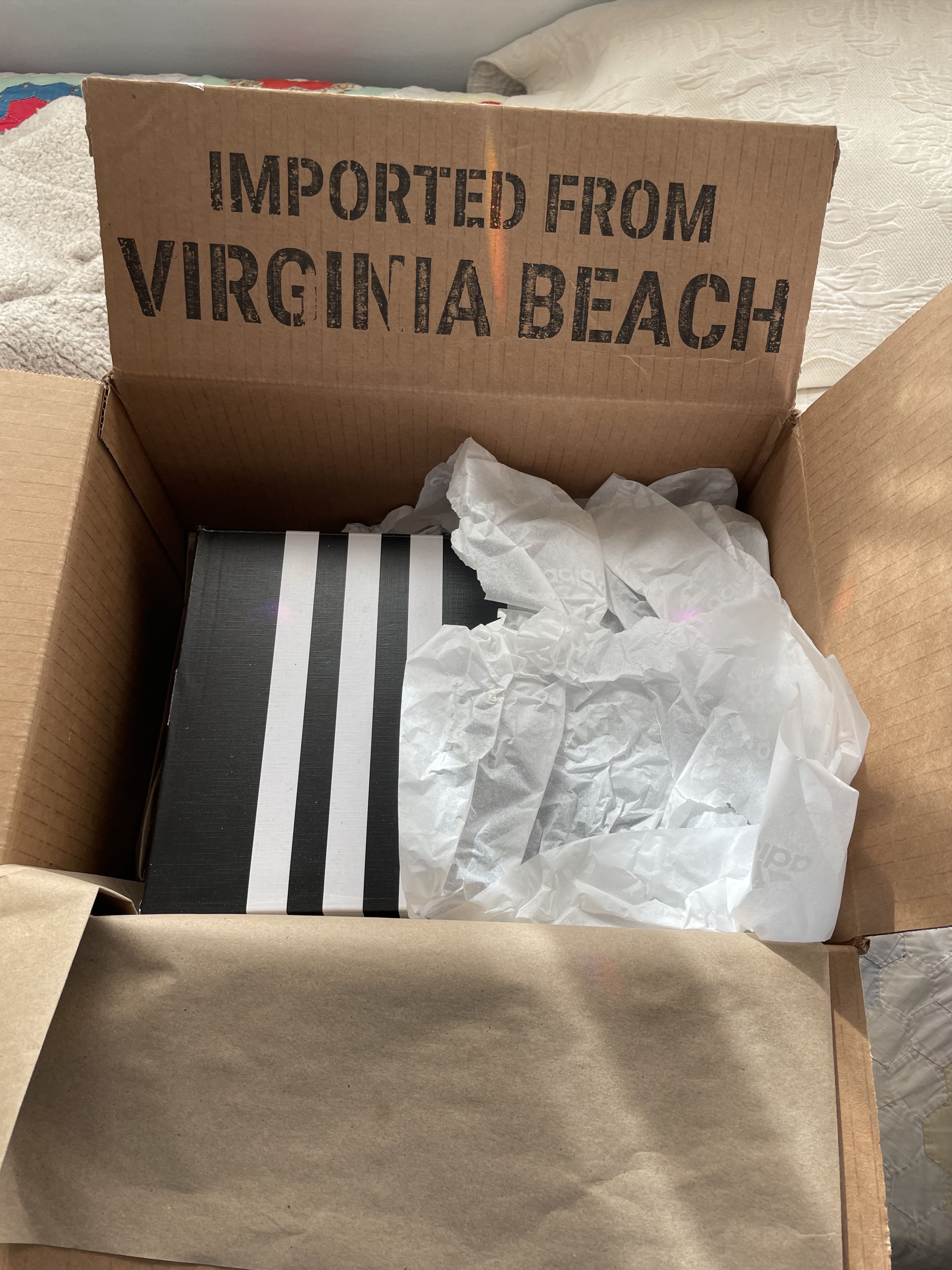 Adidas Pharrell Virginia Adidas Adistar Jellyfish Size US 7 / EU 40 - 5 Thumbnail