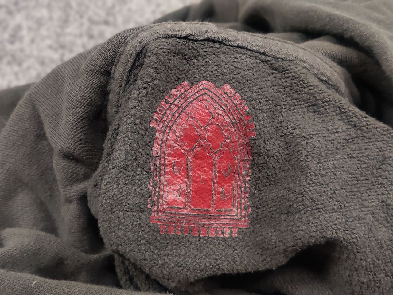 Reckless Scholars Rare Vintage Reckless Scholars University Zip Hoodie LGB Size US M / EU 48-50 / 2 - 15 Thumbnail