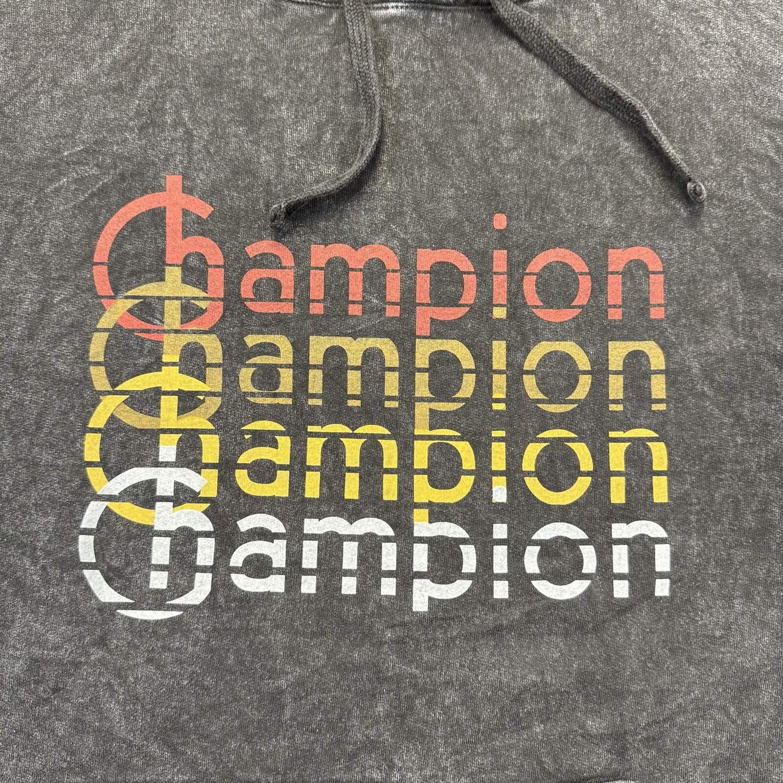 Champion Champion Men's Vintage Acid Wash Pullover Hoodie Size ONE SIZE - 4 Thumbnail