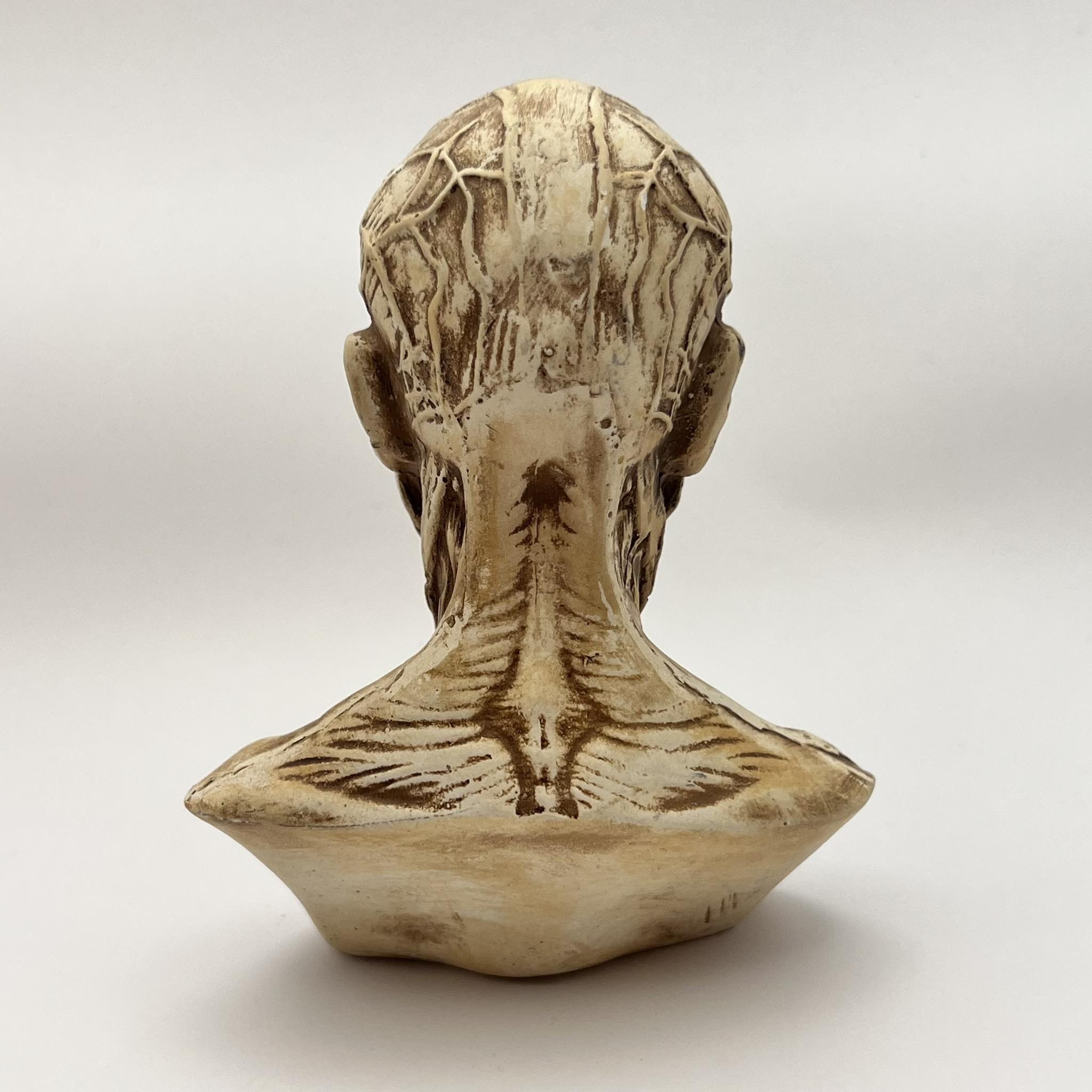 Vintage Art Head Bust of Houdon Ecorche Man Gypsum Detailing Muscles Size ONE SIZE - 7 Thumbnail