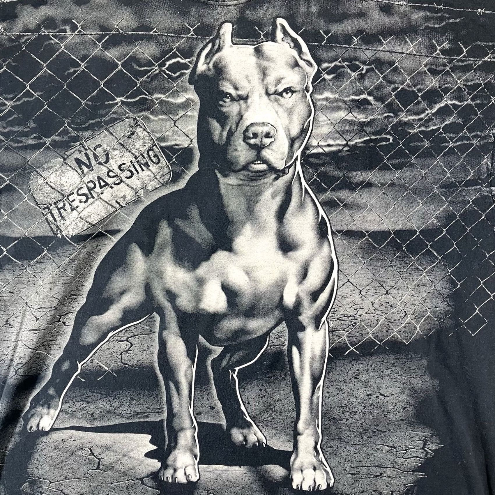 Vintage VINTAGE Mens T-Shirt Graphic Print Pit Bull 3XL Short Sleeve Black DOM Crew Neck Streetwear Skater 90s Dogs Hip Hop Biker Art Size US 39 - 3 Thumbnail