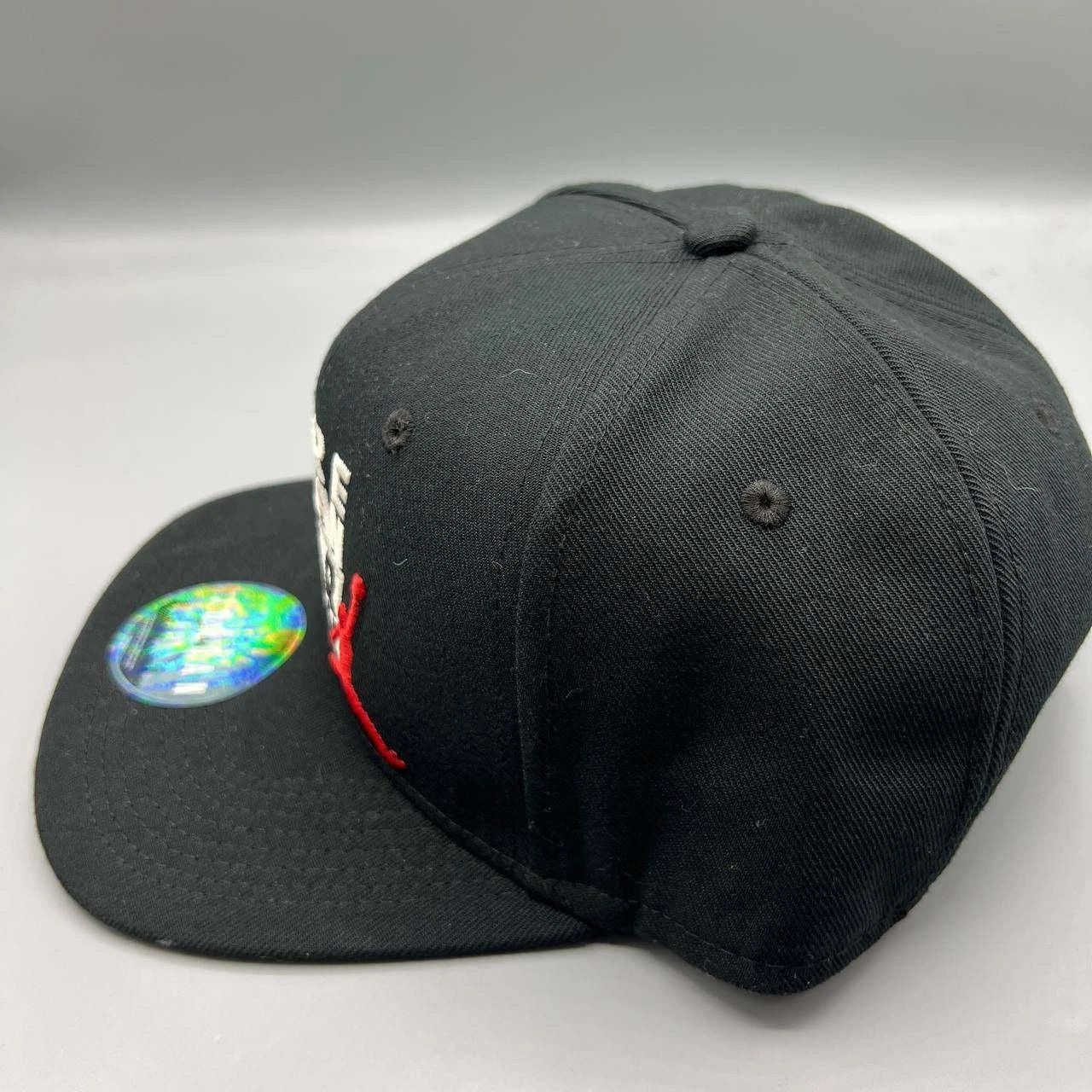 Jordan Brand Air Jordan Hat Men Hare Embroidered Logo Snap Back Cap Size ONE SIZE - 7 Thumbnail