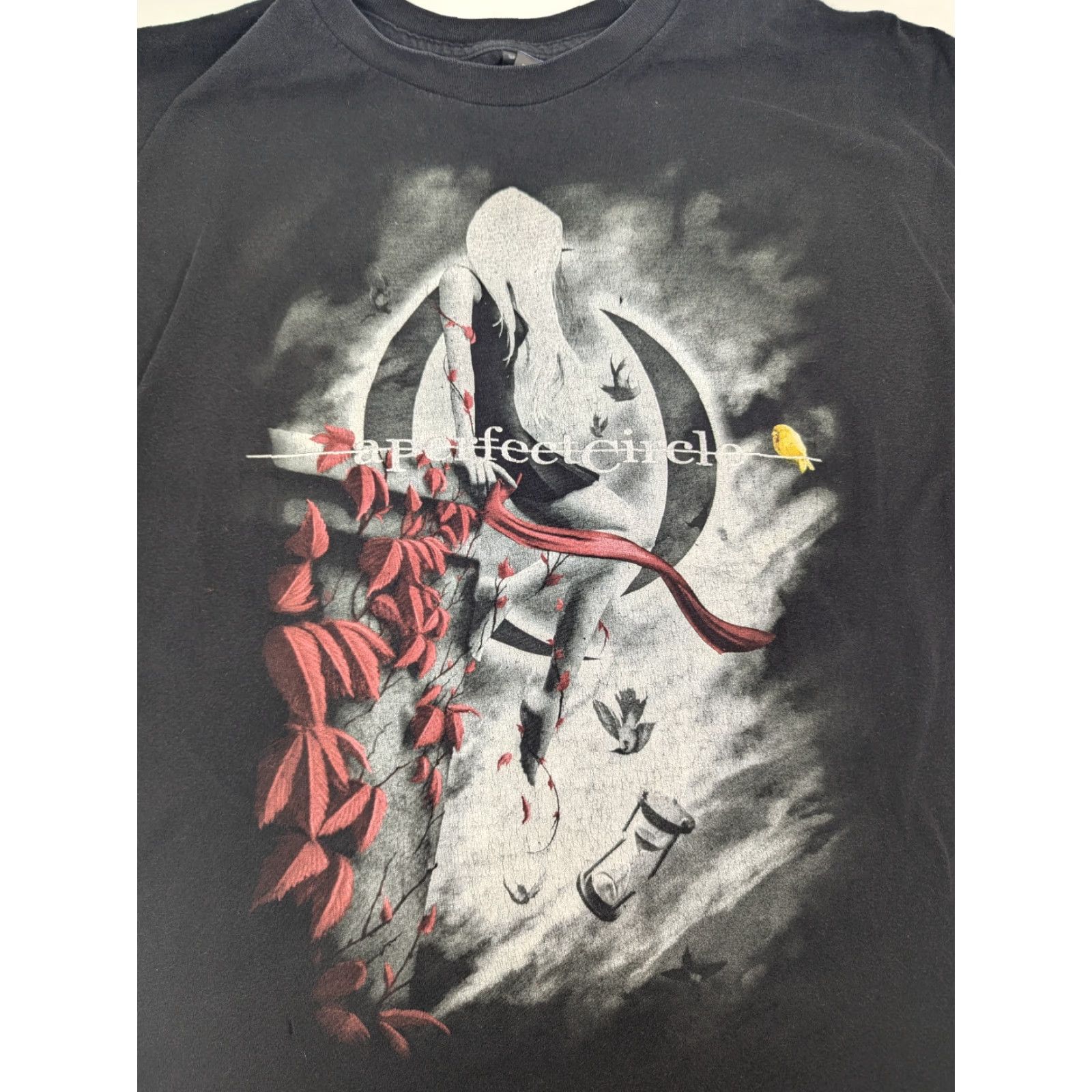 Tultex A Perfect Circle T-Shirt Rock 2XL Tultex Black Cotton Crew Neck Short Sleeve Mens 2XL Graphic Print Vintage No Size US XXL / EU 58 / 5 - 2 Thumbnail