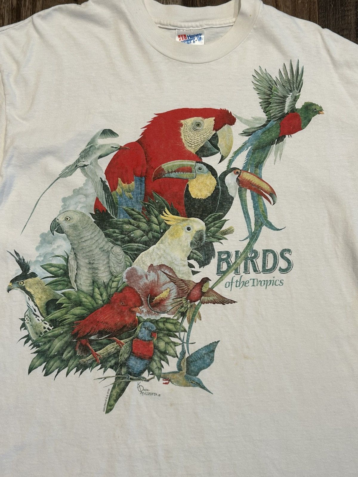 Hanes *Rare* Vintage OKC Botanical Gardens Birds T-Shirt Size US XL / EU 56 / 4 - 2 Thumbnail