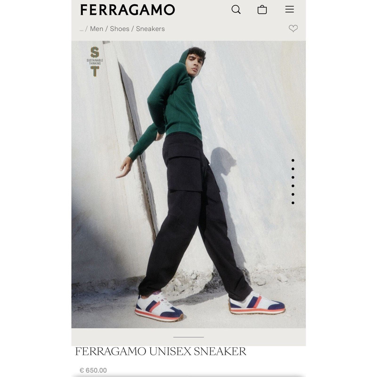 Salvatore Ferragamo Salvatore Ferragamo Iulio Sneakers sz. 10.5 us Size US 10.5 / EU 43-44 - 12 Thumbnail