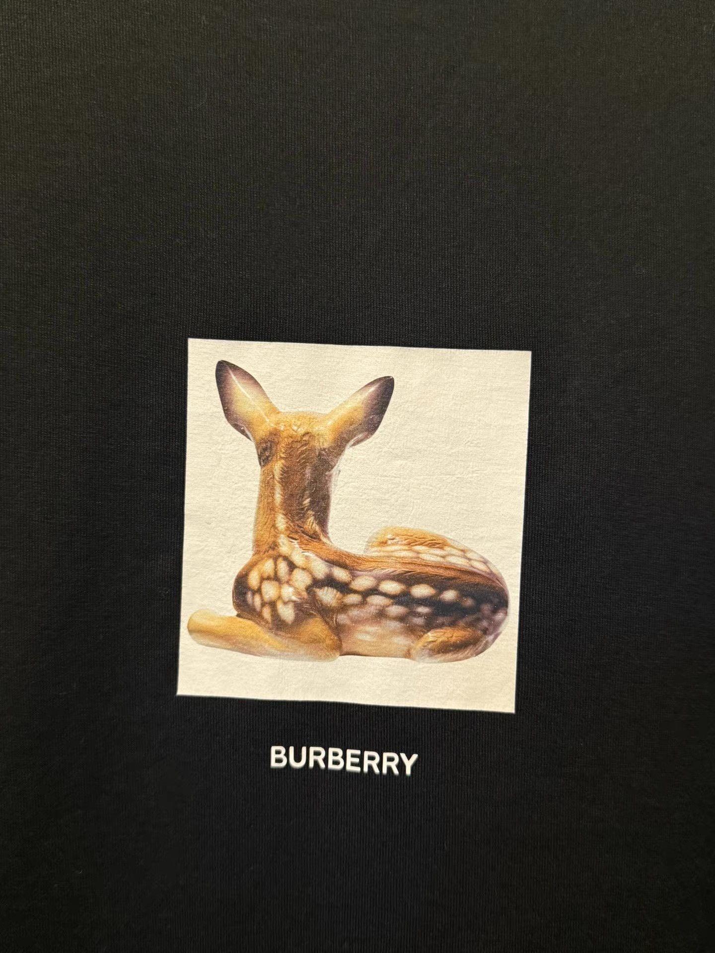 Burberry Burberry reversible deer print short-sleeve T-shirt Ｑ20 Size US M / EU 48-50 / 2 - 5 Thumbnail