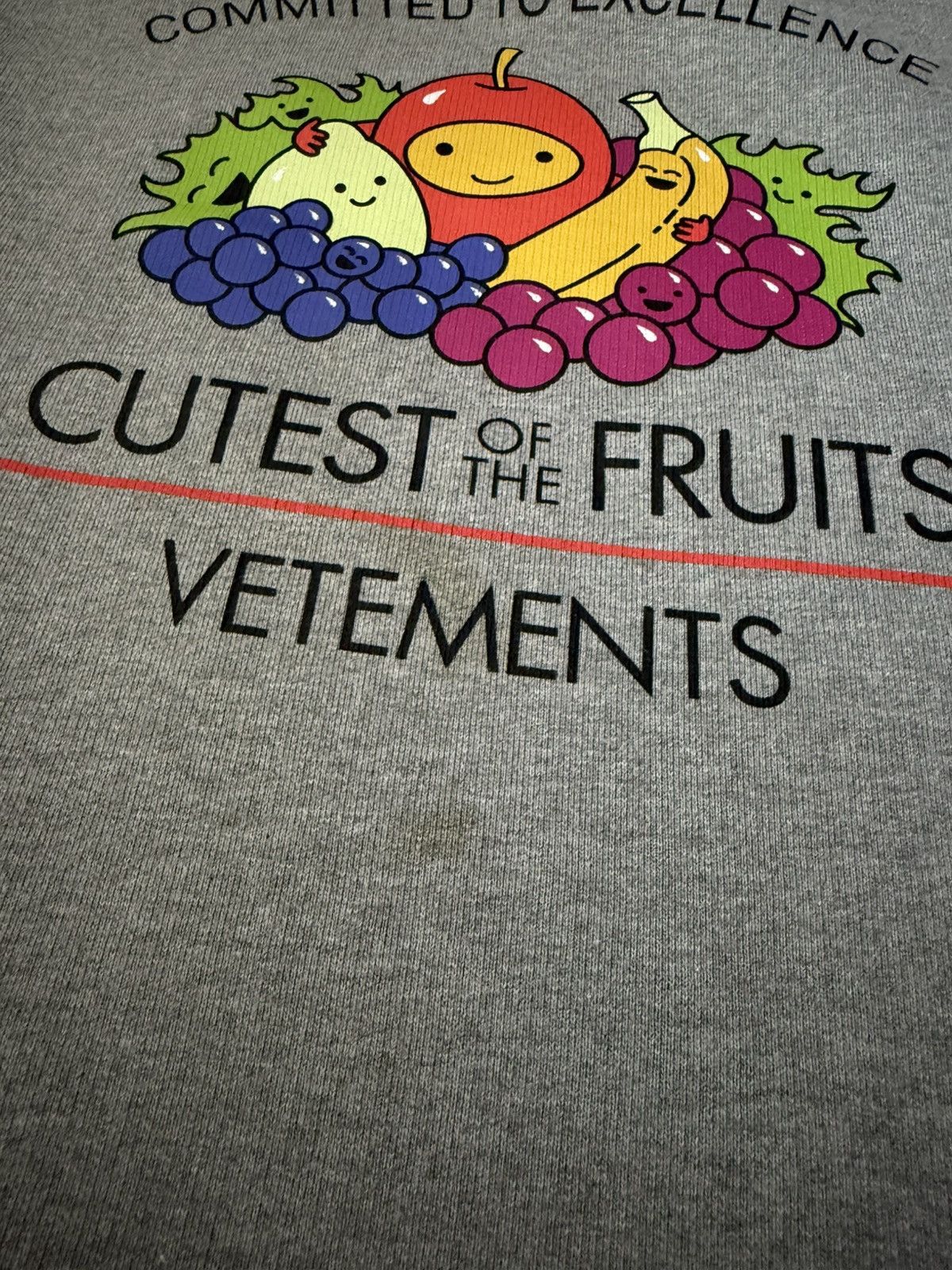 Vetements 🥦🫐🥑 vegan sweatshirt Size US XL / EU 56 / 4 - 3 Thumbnail