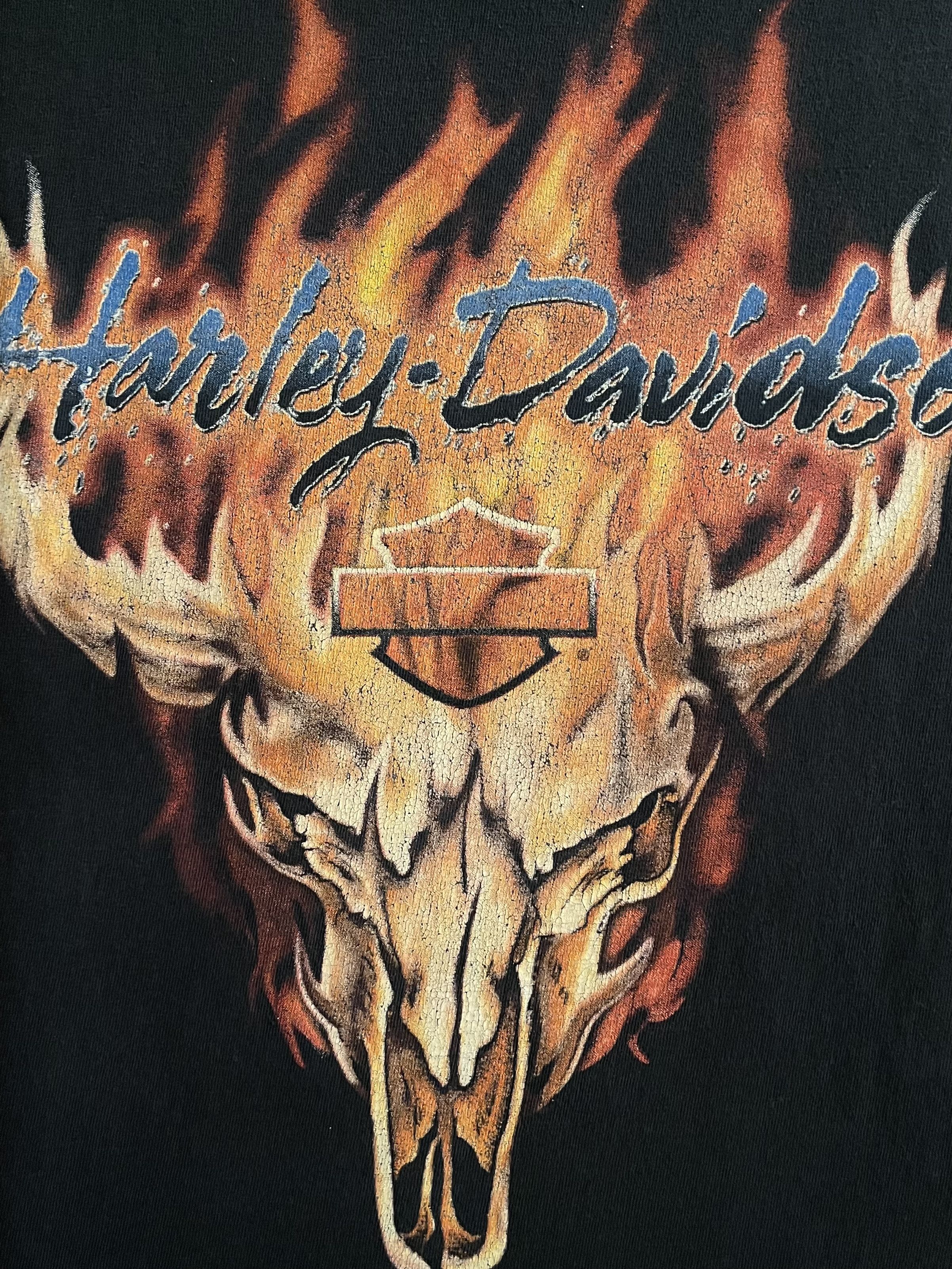 Harley Davidson Vintage Harley Davidson Flame Skull Florida T Shirt 2002 Size US L / EU 52-54 / 3 - 7 Thumbnail