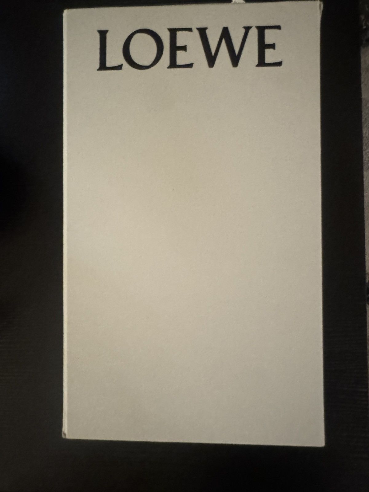 Loewe Loewe Nylon And Suede Flow Runner 2.0 Sneaker Size US 9 / EU 42 - 4 Thumbnail