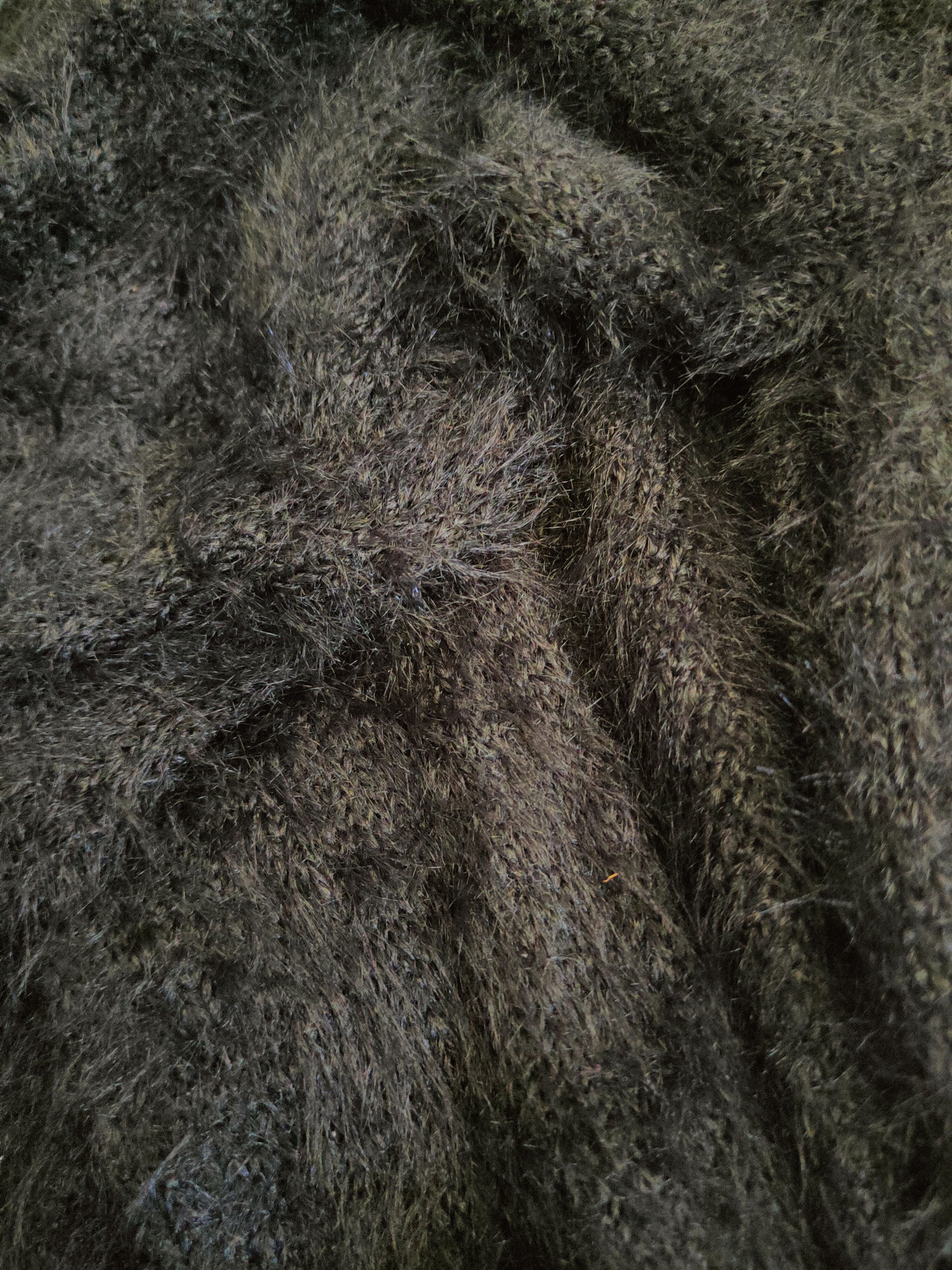 Japanese Brand DL Cecil McBee Black Fur Mohair Knitwear #46-546 Size M / US 6-8 / IT 42-44 - 13 Thumbnail
