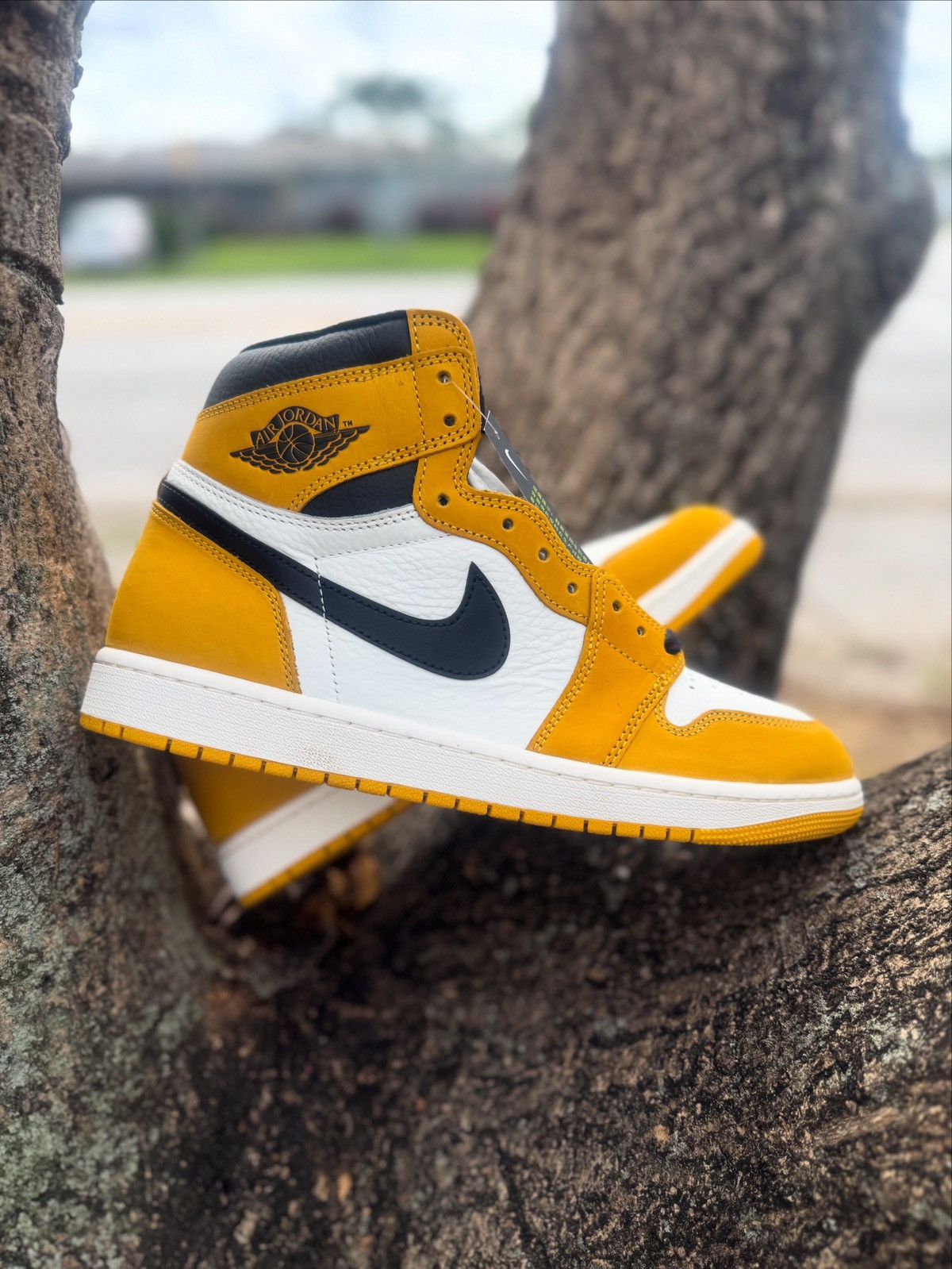 Jordan Brand Jordan 1 Retro High Size US 10 / EU 43 - 1 Thumbnail