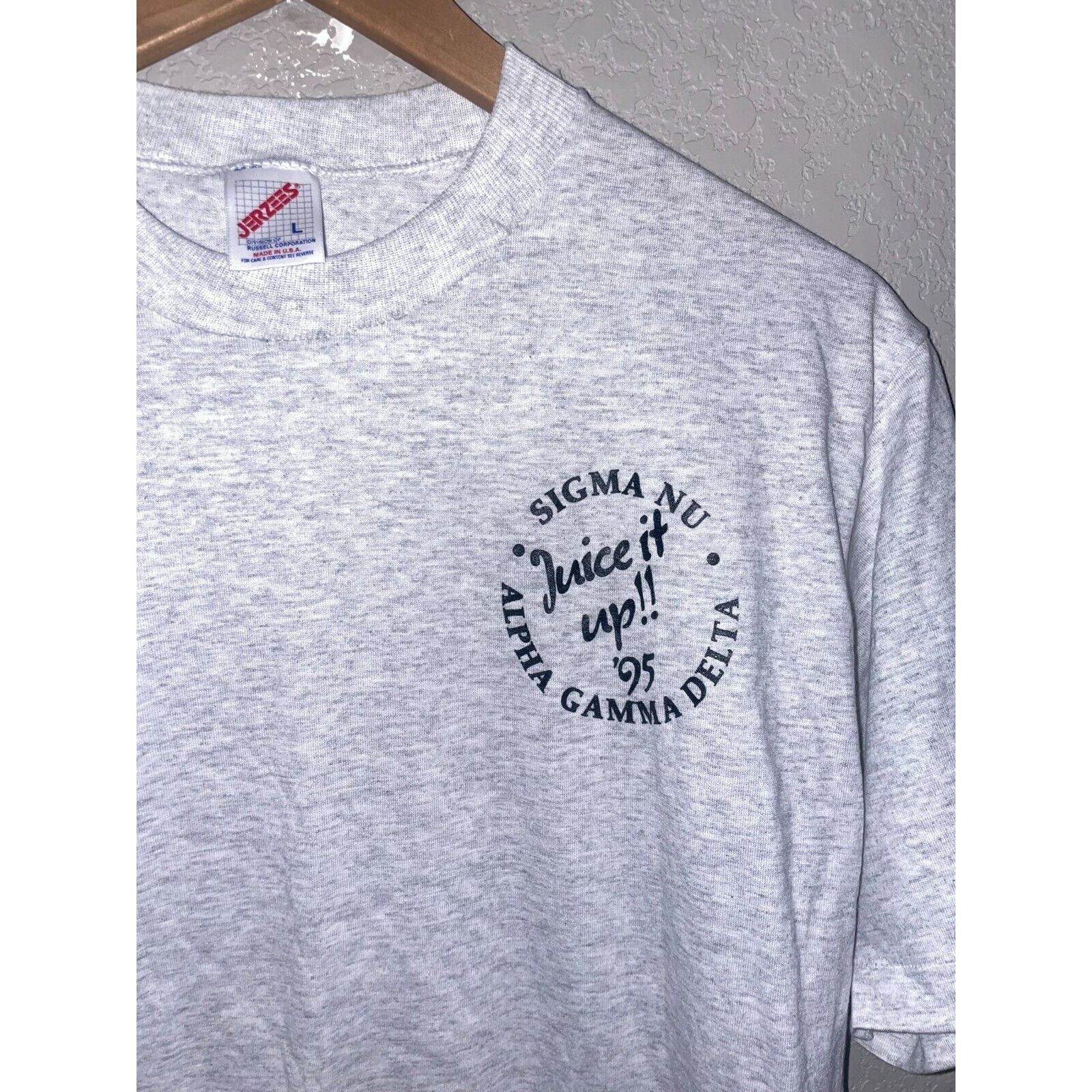 Jerzees Vintage Sigma Nu Alpha Gamma Delta Shirt Gray Tee 90s VTG L Size US L / EU 52-54 / 3 - 2 Thumbnail