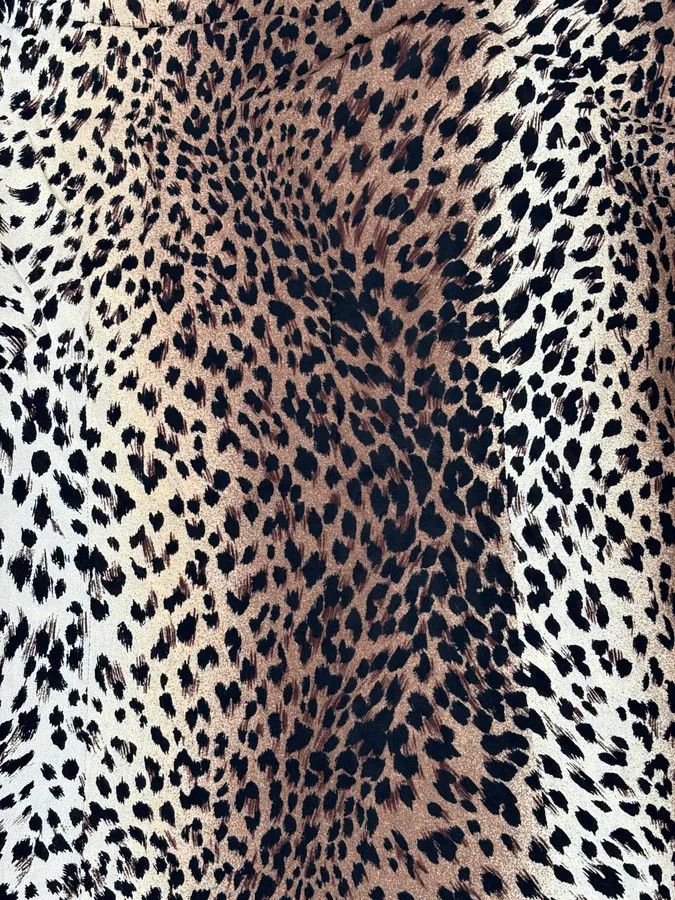 Roberto Cavalli 2000s Cavalli Leopard Print Shirt Size M / US 6-8 / IT 42-44 - 7 Thumbnail