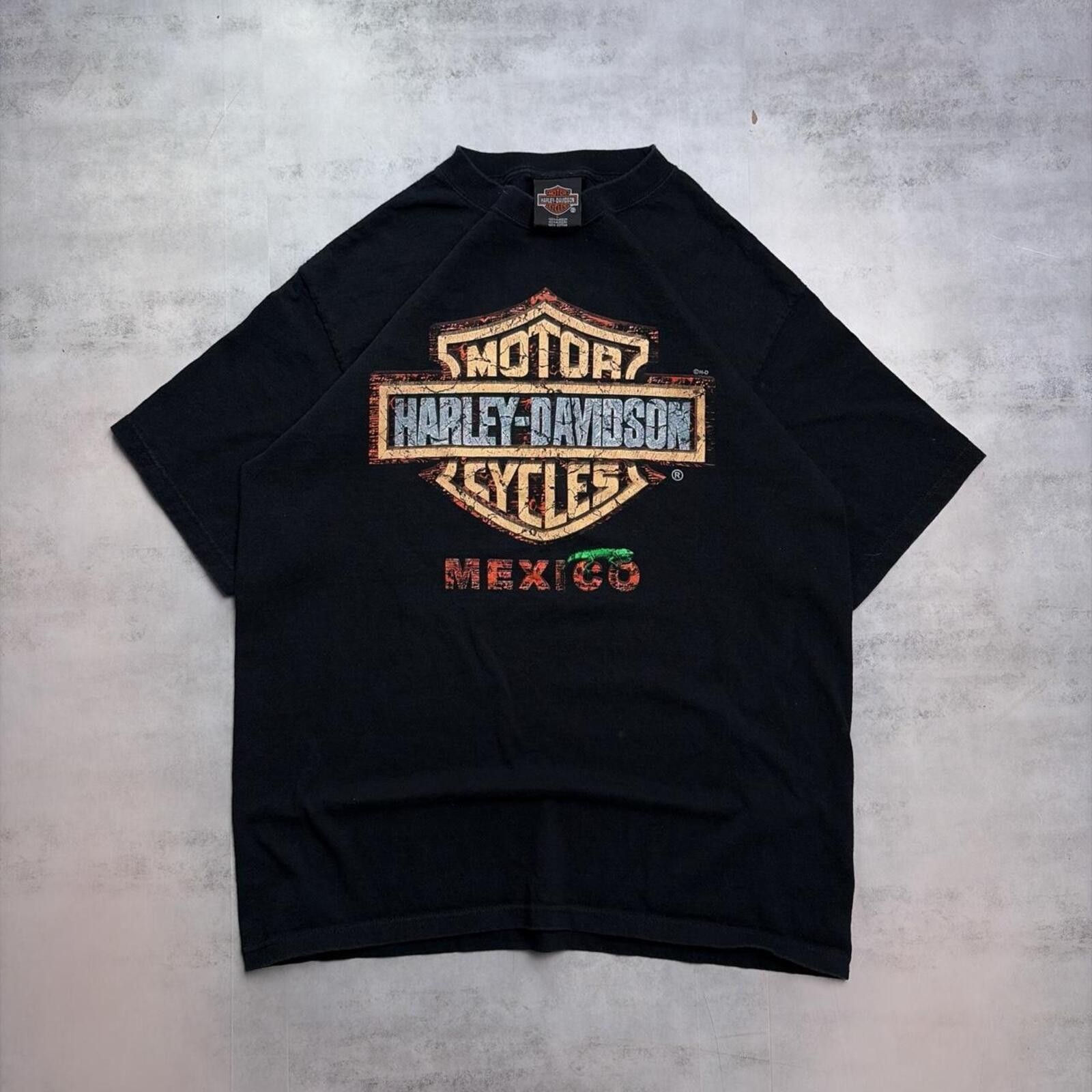 Harley Davidson Y2K Harley Davidson Grunge Cabo San Lucas Biker T-Shirt Size US L / EU 52-54 / 3 - 1 Thumbnail