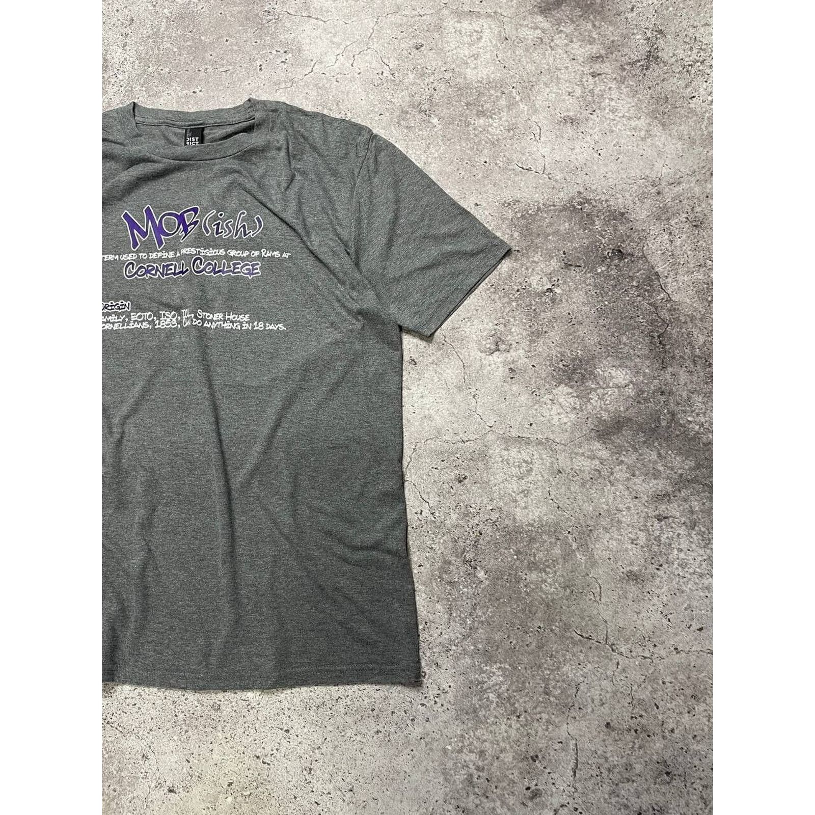 Vintage Vintage Cornell College ISO T-Shirt Gray M International Size US M / EU 48-50 / 2 - 3 Thumbnail