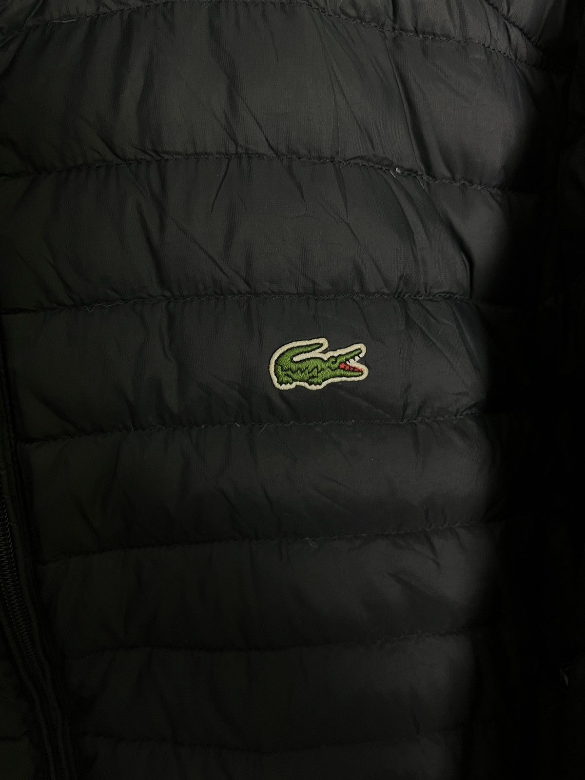 Lacoste Lacoste puffer jacket Size US S / EU 44-46 / 1 - 2 Thumbnail