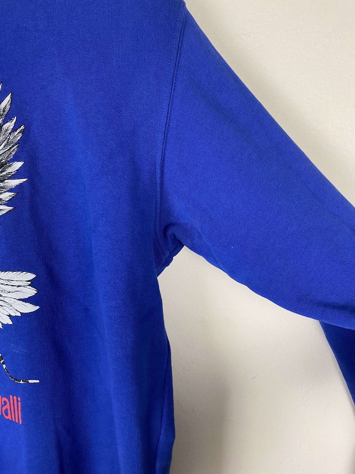 Roberto Cavalli Roberto Cavalli Eagle Sweatshirt Size US L / EU 52-54 / 3 - 7 Thumbnail
