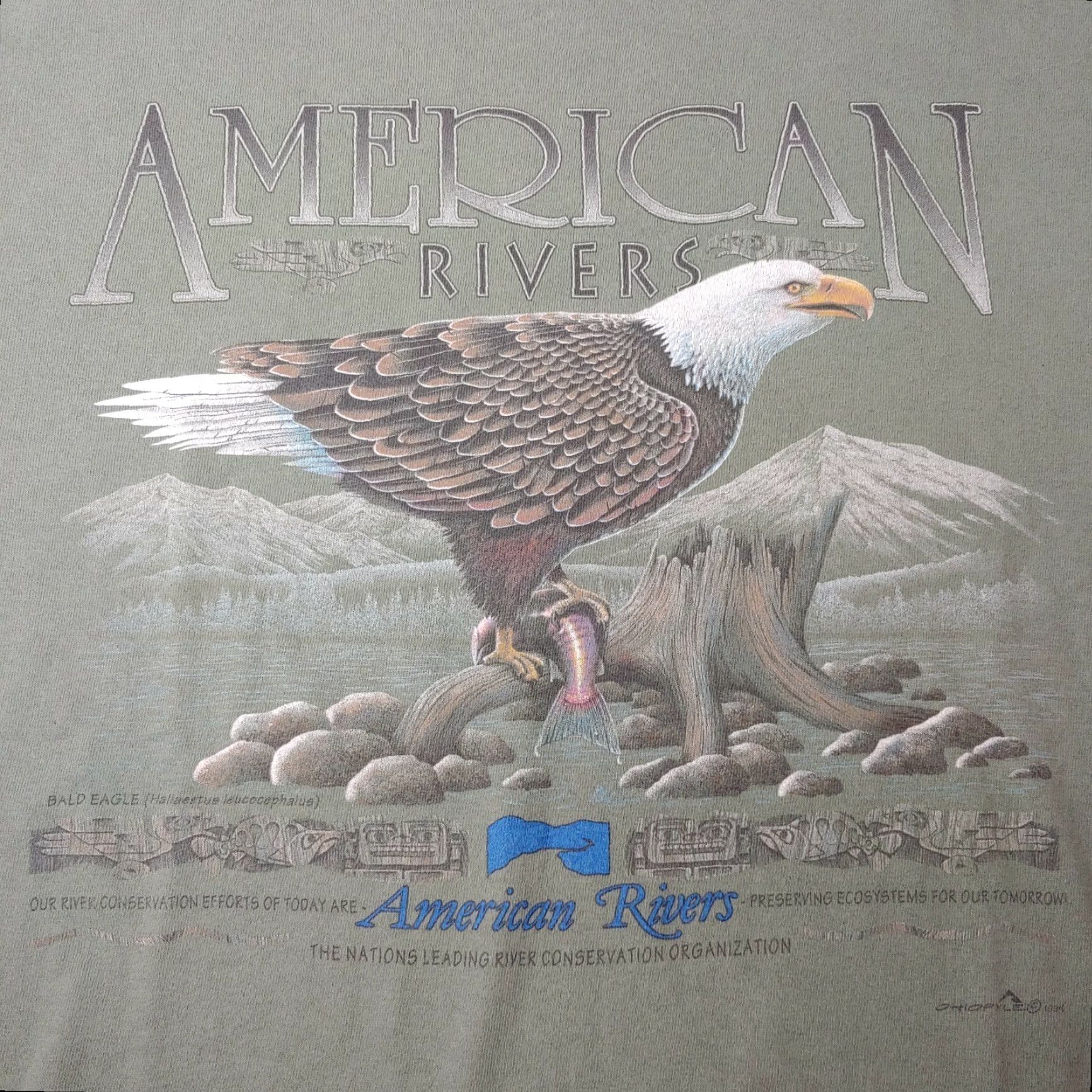Vintage VINTAGE Ohiopyle Shirt Medium Army Green Bald Eagle Nature Conservation T-Shirt Men Graphic Print 100% Cotton Size US M / EU 48-50 / 2 - 2 Thumbnail