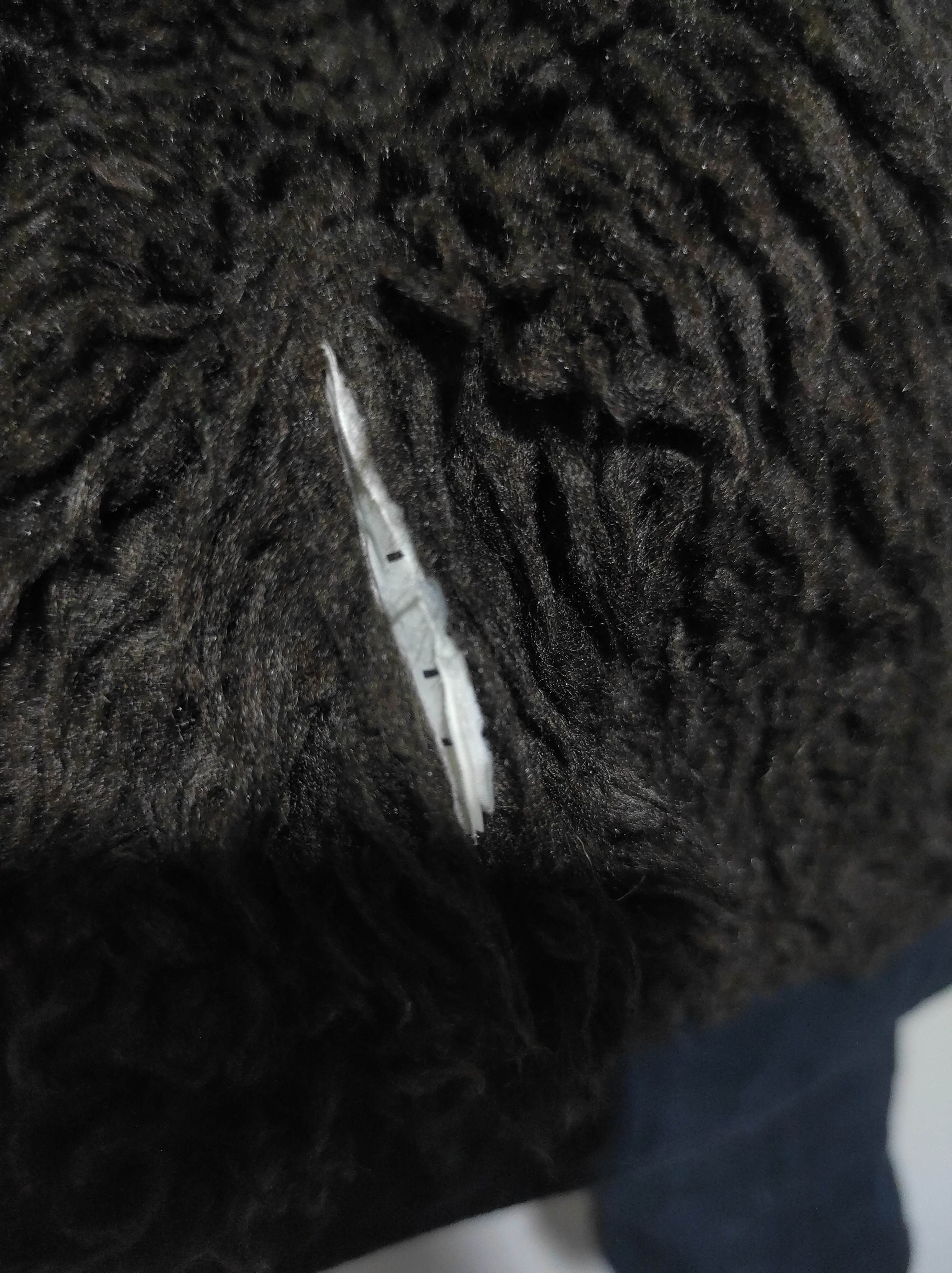 Abercrombie & Fitch Abercrombie & Fitch Kids Sherpa Jacket Size US XS / EU 42 / 0 - 12 Thumbnail
