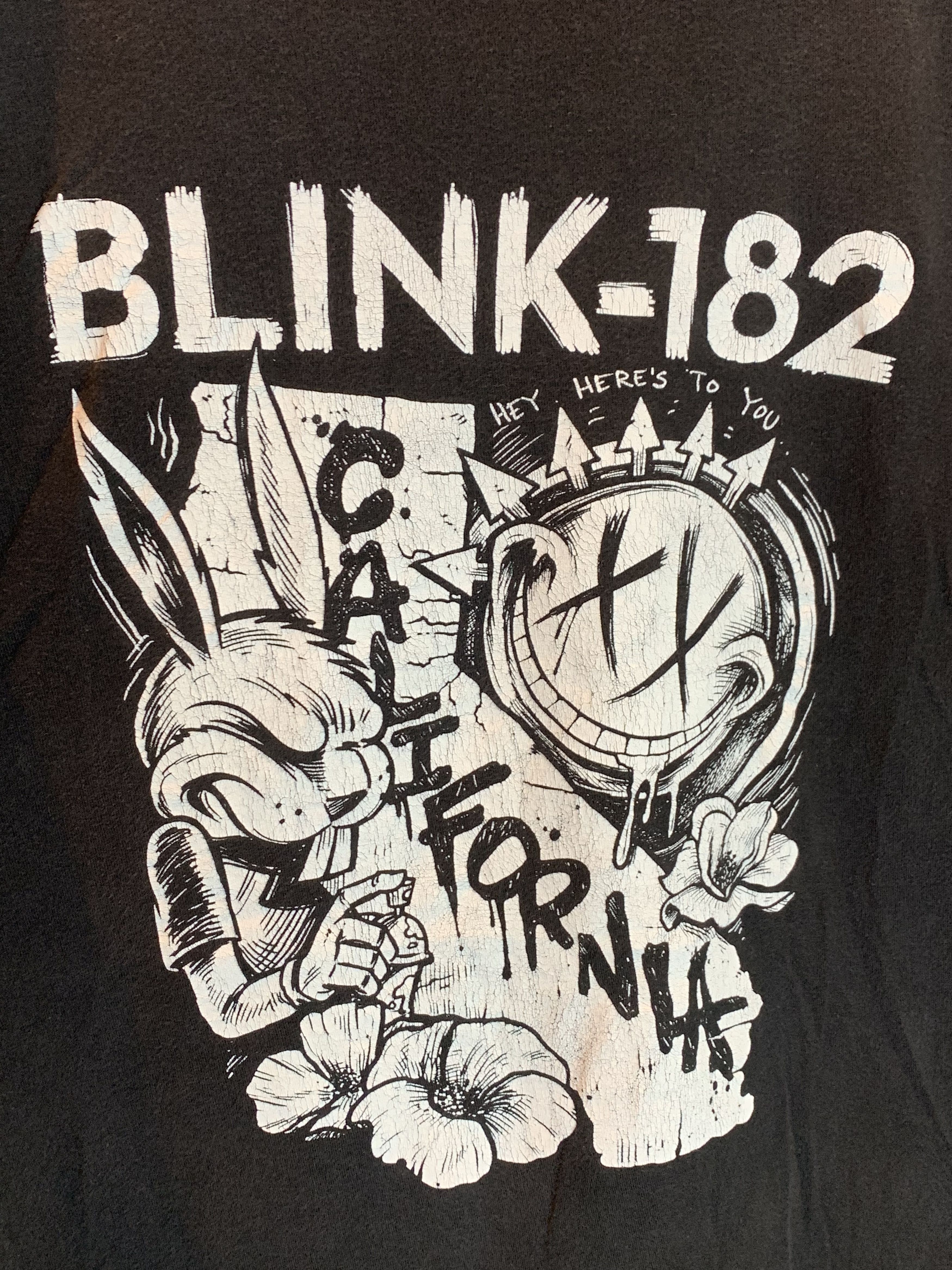Band Tees *RARE* Blink-182 Hey Here’s To You Band California T-Shirt Size US XL / EU 56 / 4 - 2 Thumbnail