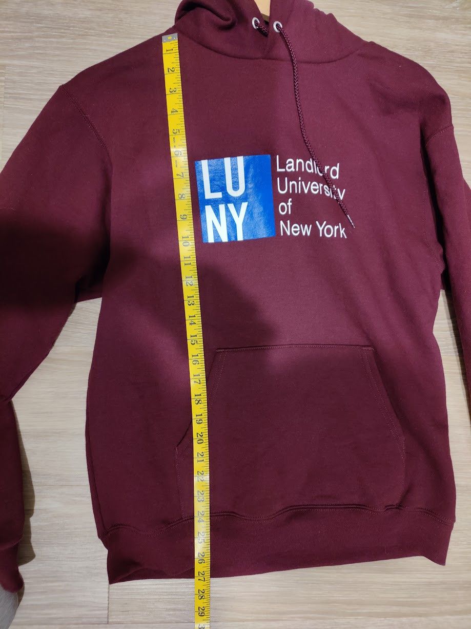 LANDLORD Landlord University of New York (LUNY) Hoodie Size US M / EU 48-50 / 2 - 8 Thumbnail