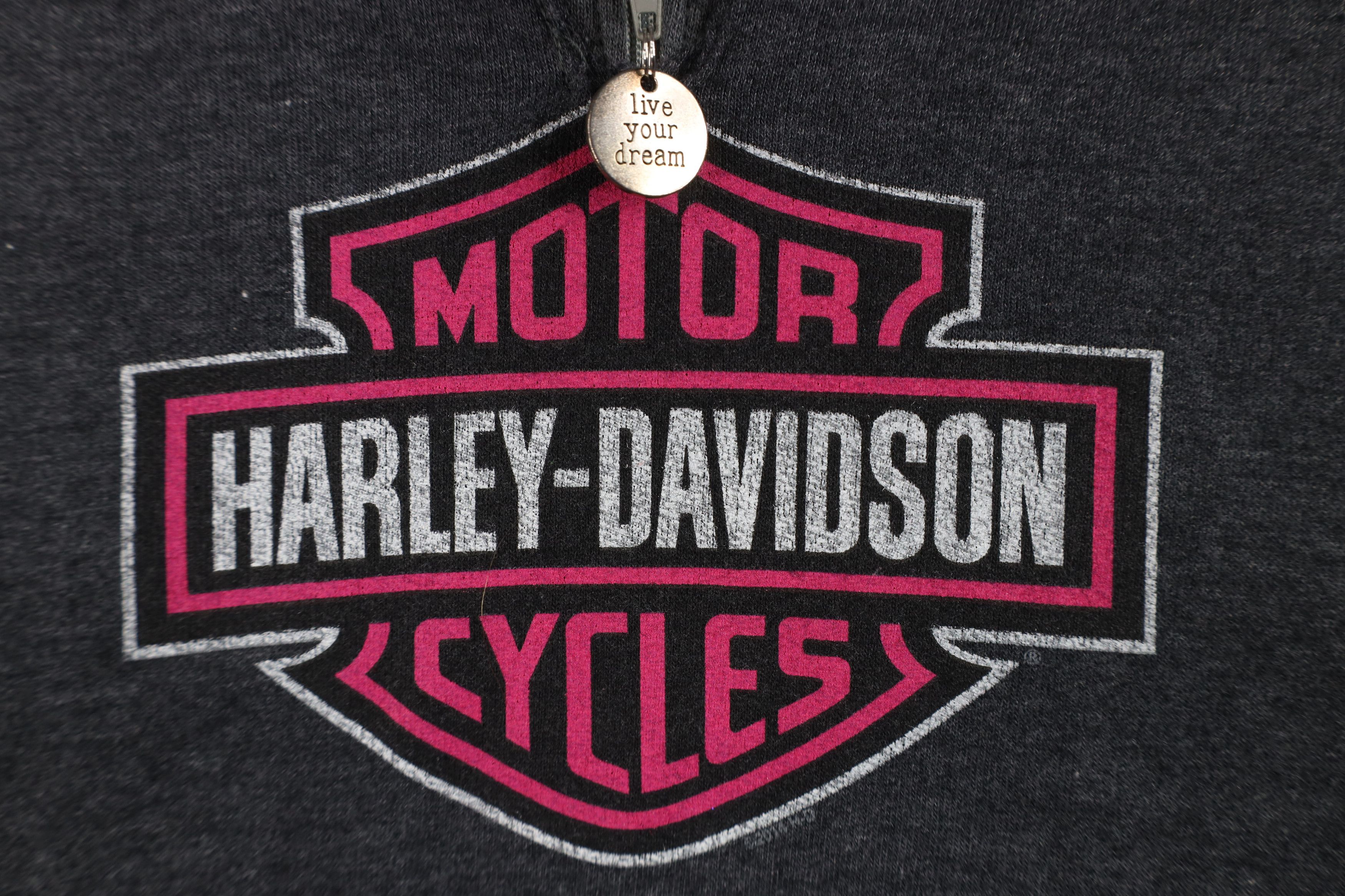 Harley Davidson Vintage Y2K Harley Davidson Spell Big Logo Hoodie Sweatshirt Size US S / EU 44-46 / 1 - 4 Thumbnail