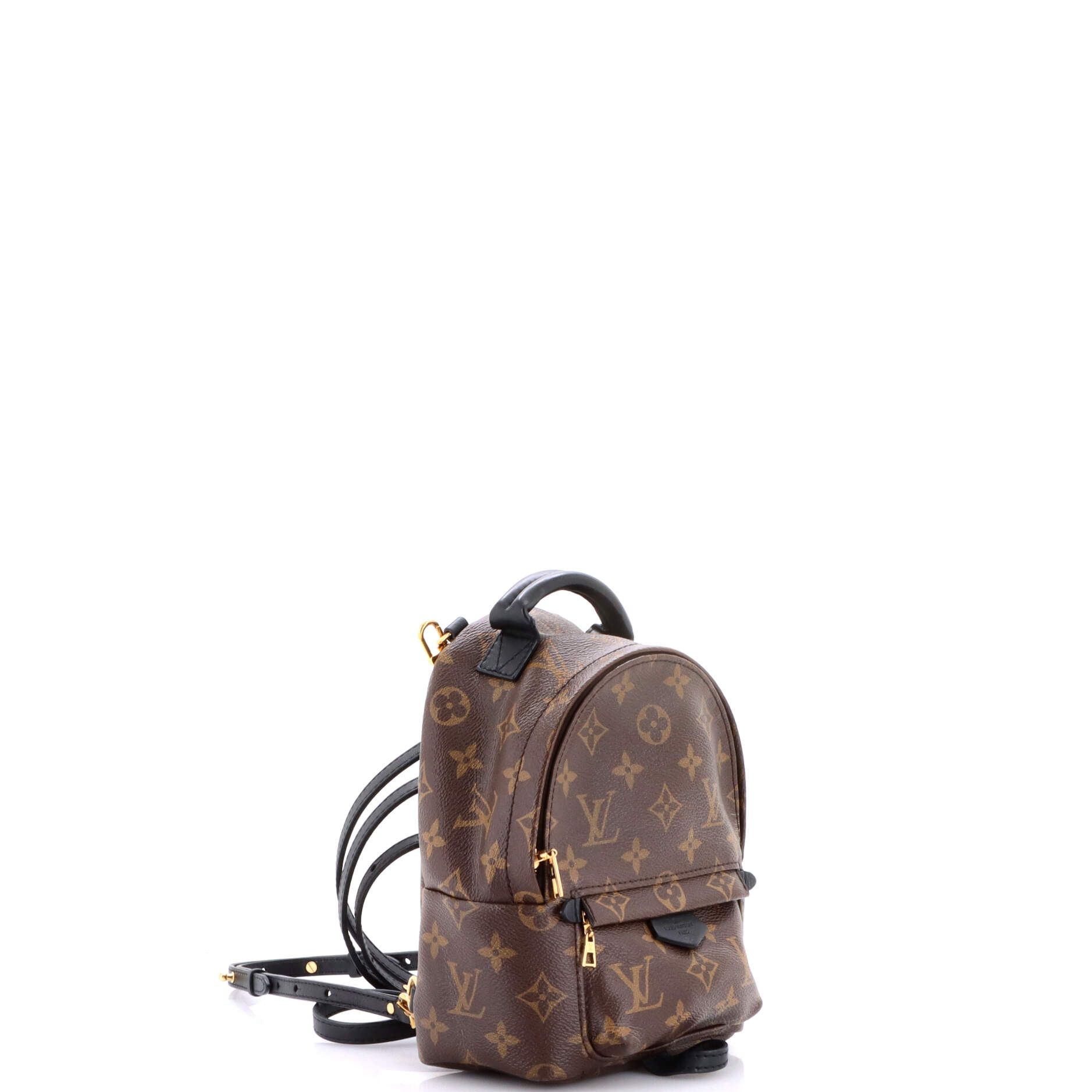 Louis Vuitton Palm springs backpack monogram canvas mini Size ONE SIZE - 1 Thumbnail