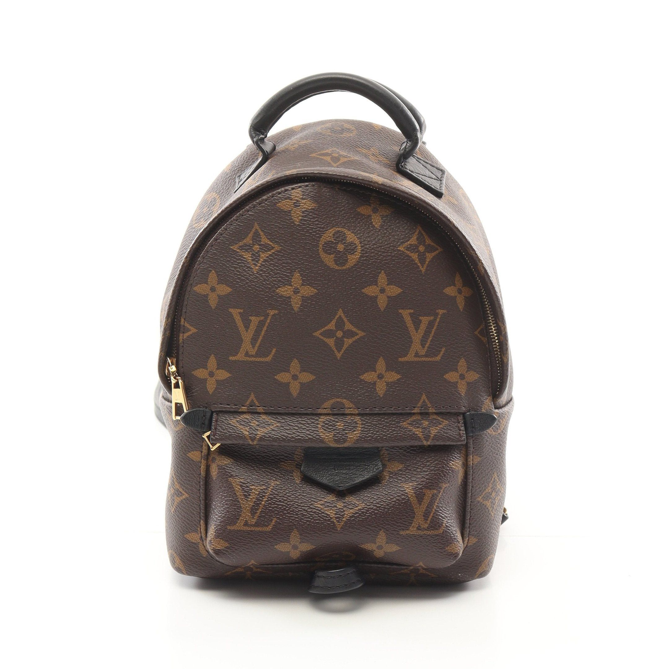 Louis Vuitton Louis Vuitton Palm Springs Mini Monogram Backpack Rucksack Leather Brown Black Size ONE SIZE - 1 Thumbnail