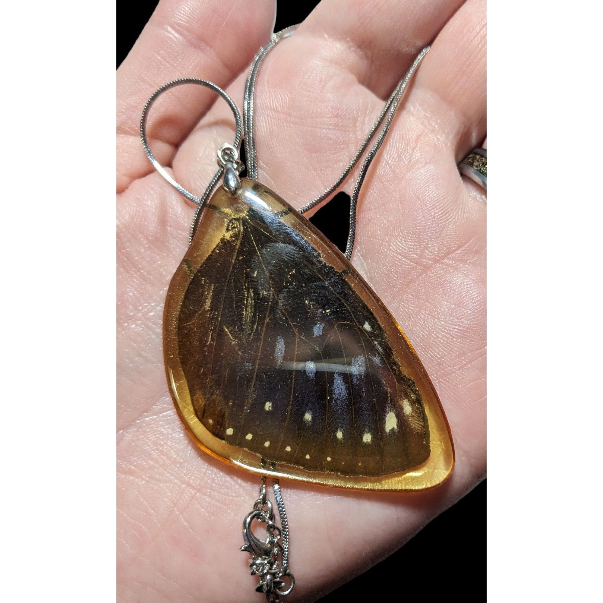 Other Preserved Butterfly Wing Necklace Size ONE SIZE - 5 Thumbnail