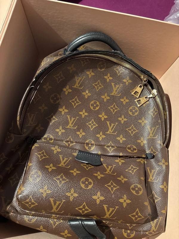 Louis Vuitton Louis Vuitton backpack Size ONE SIZE - 1 Thumbnail