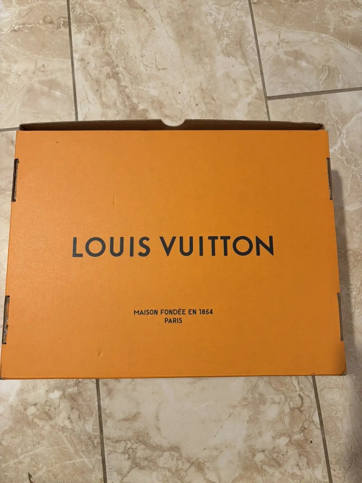 Louis Vuitton LV Skate Sneakers Size US 9 / EU 42 - 10 Thumbnail