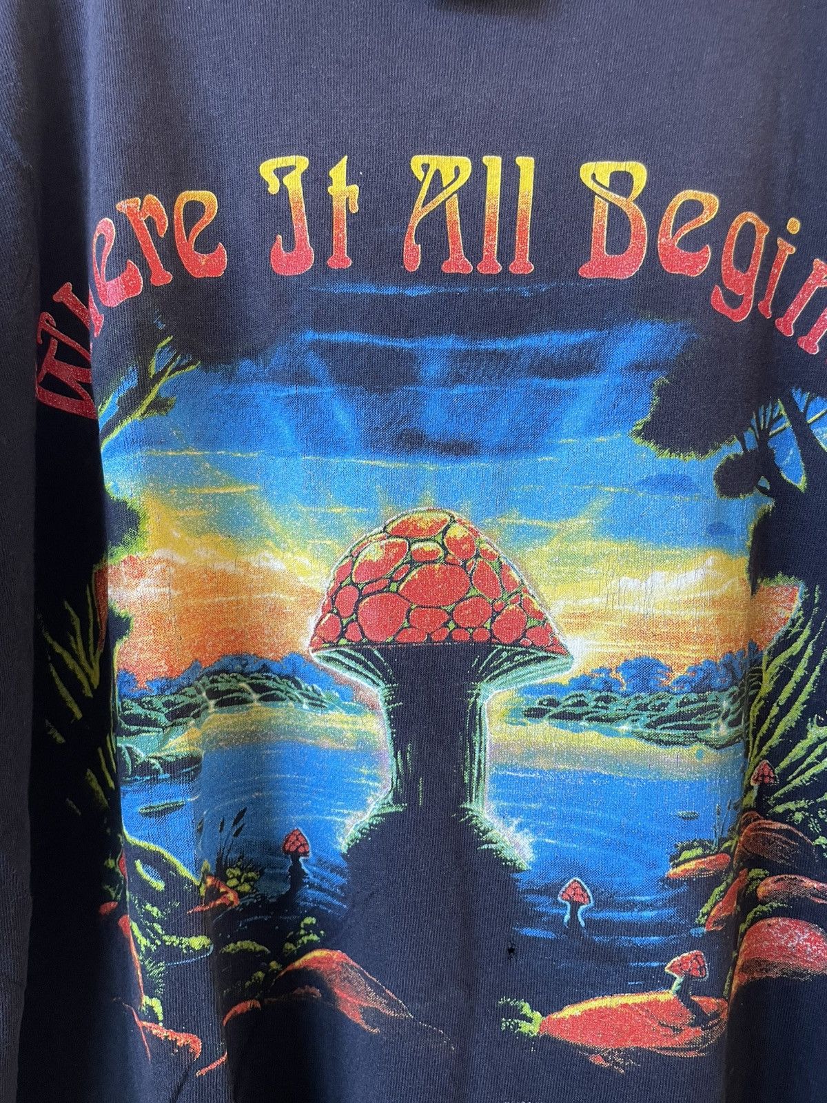 Vintage Vintage 1994 the allman brothers band tee Size US XL / EU 56 / 4 - 5 Thumbnail