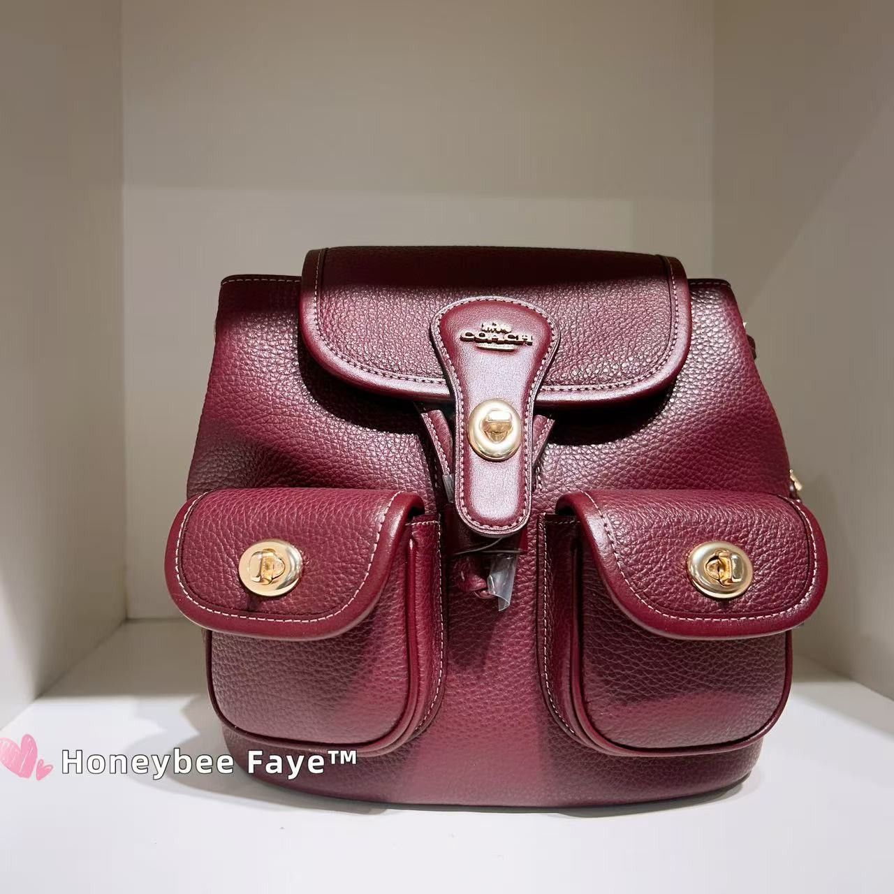 Coach NWT Coach Hadley Backpack CBH09 Size ONE SIZE - 1 Thumbnail