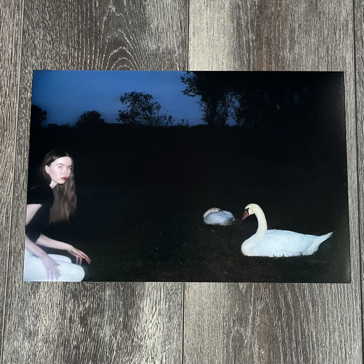 Snow Strippers Tati The Swans Print Photograph 1/100 Rare