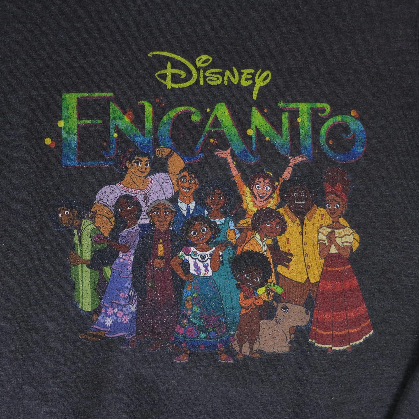 Disney Men's Small Disney Encanto Graphic Sweatshirt Size ONE SIZE - 3 Thumbnail
