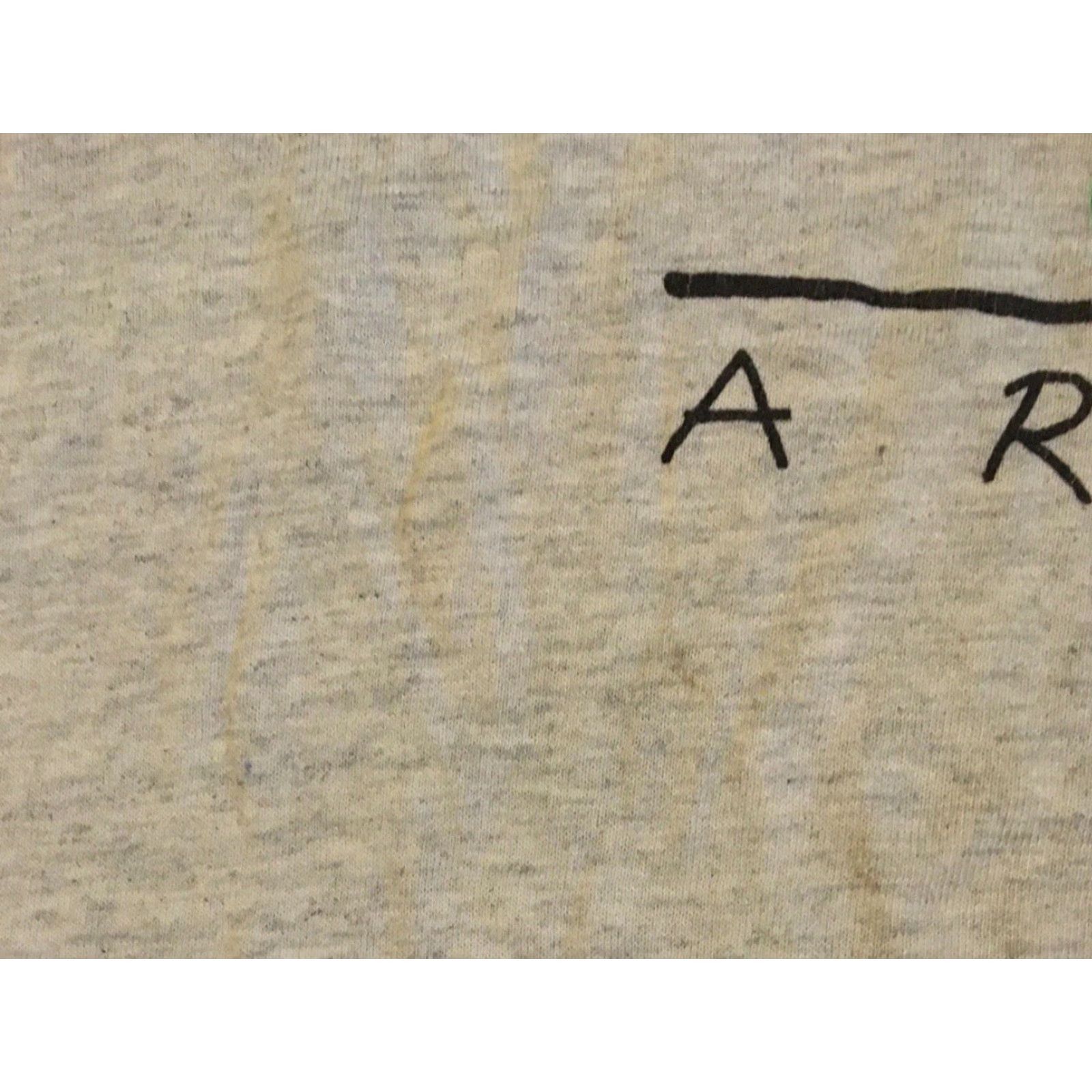 Vintage Vtg 90s Arizona Been There Done That Faded Distress Shirt M Gray Short Sleeve Mens Funny Joke Grunge Size US M / EU 48-50 / 2 - 7 Thumbnail