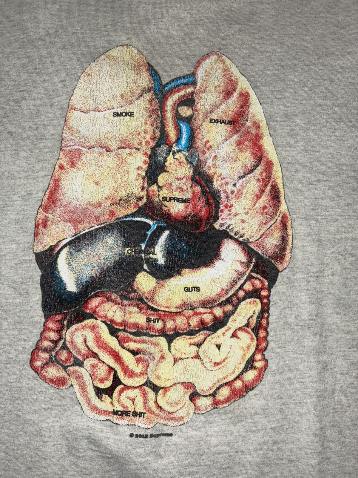Supreme Supreme Guts Ash Grey Mens Tee Size US M / EU 48-50 / 2 - 2 Thumbnail