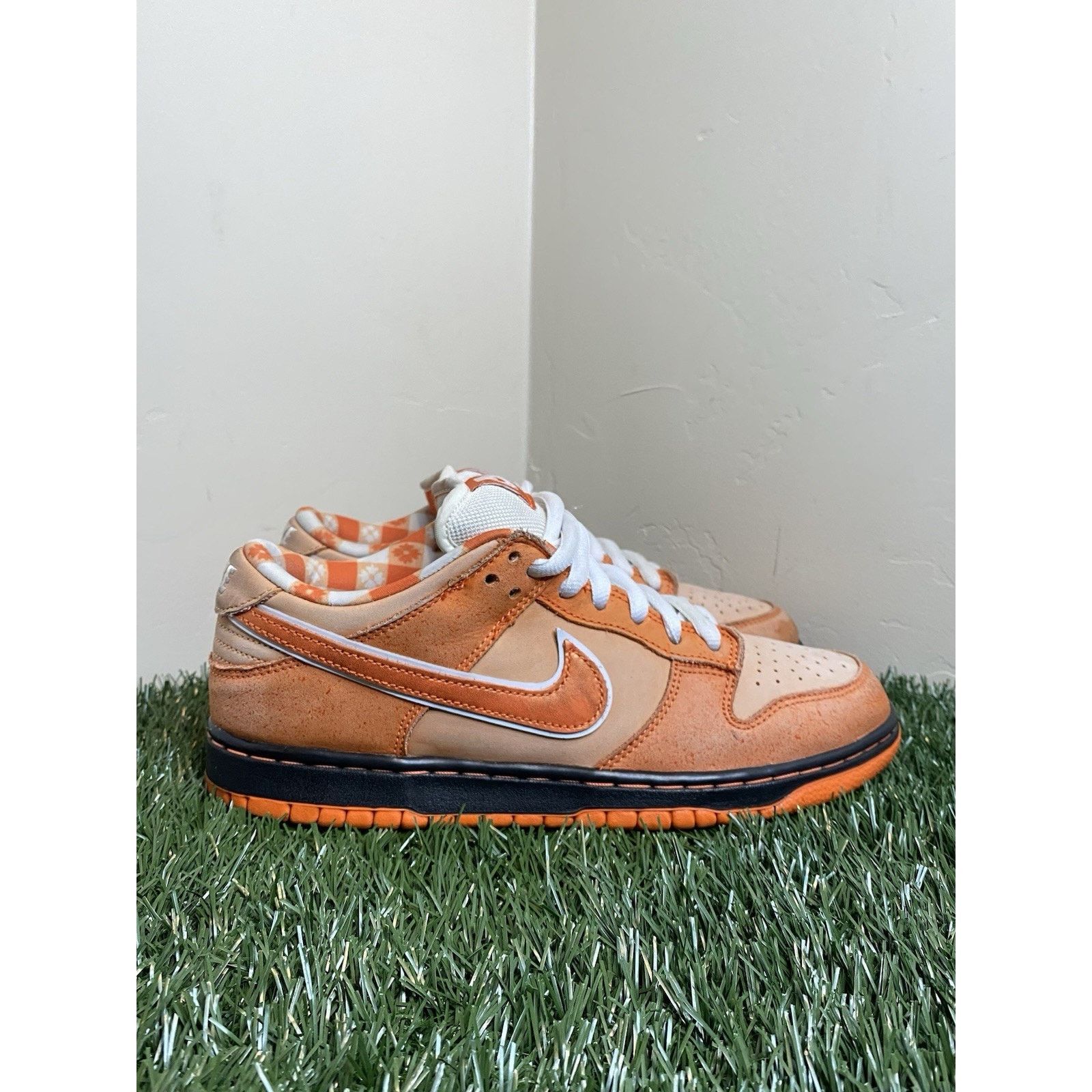 Nike SB Dunk Low Concepts 