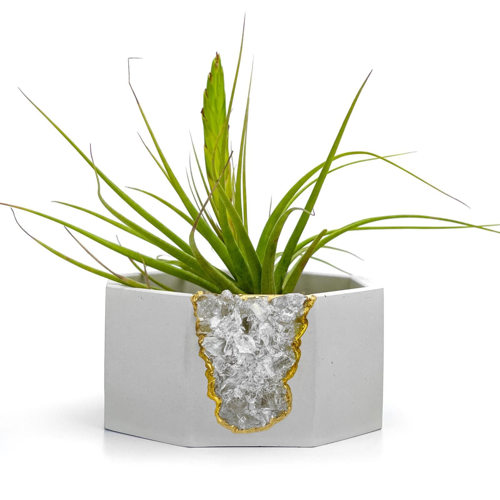 Other Raw Clear Quartz Crystal Planter | Large Geode Succulent Pot Size ONE SIZE - 5 Thumbnail