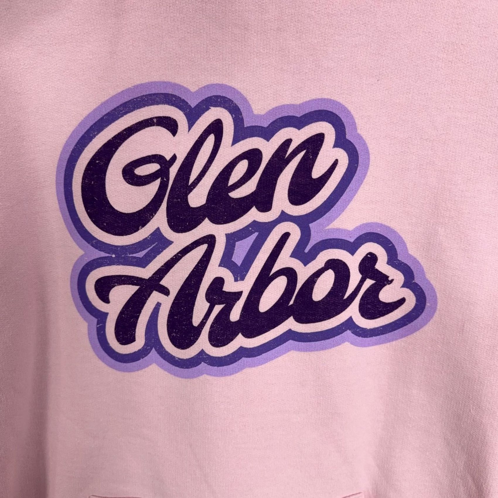 Champion Champion Hoodie Adult Large Pink Pullover Fleece Sweatshirt Glen Arbor Graphic Mens Size US L / EU 52-54 / 3 - 2 Thumbnail