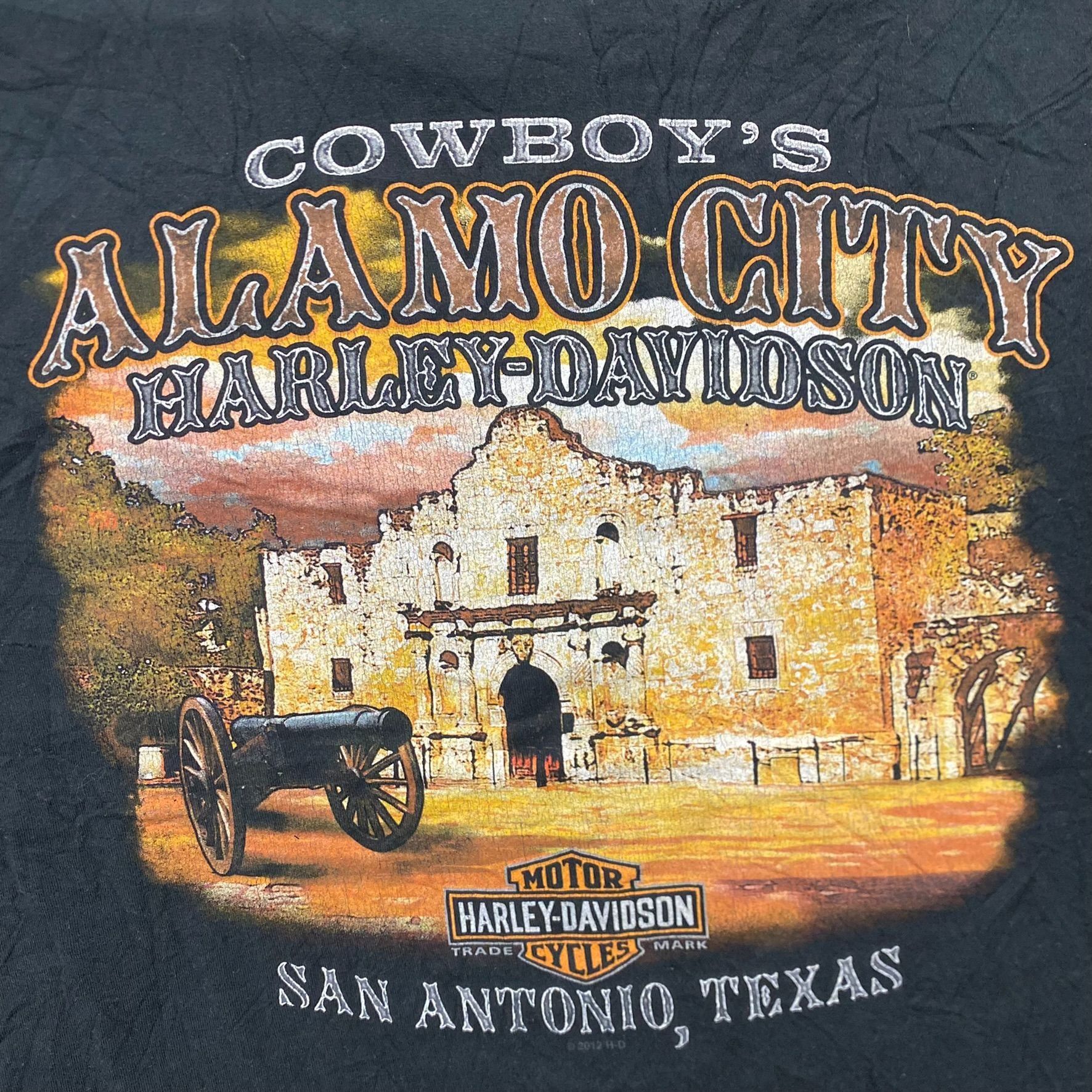 Harley Davidson Vintage Y2K Harley Davidson Texas Sun Faded Punk Biker Tee Size US M / EU 48-50 / 2 - 6 Thumbnail