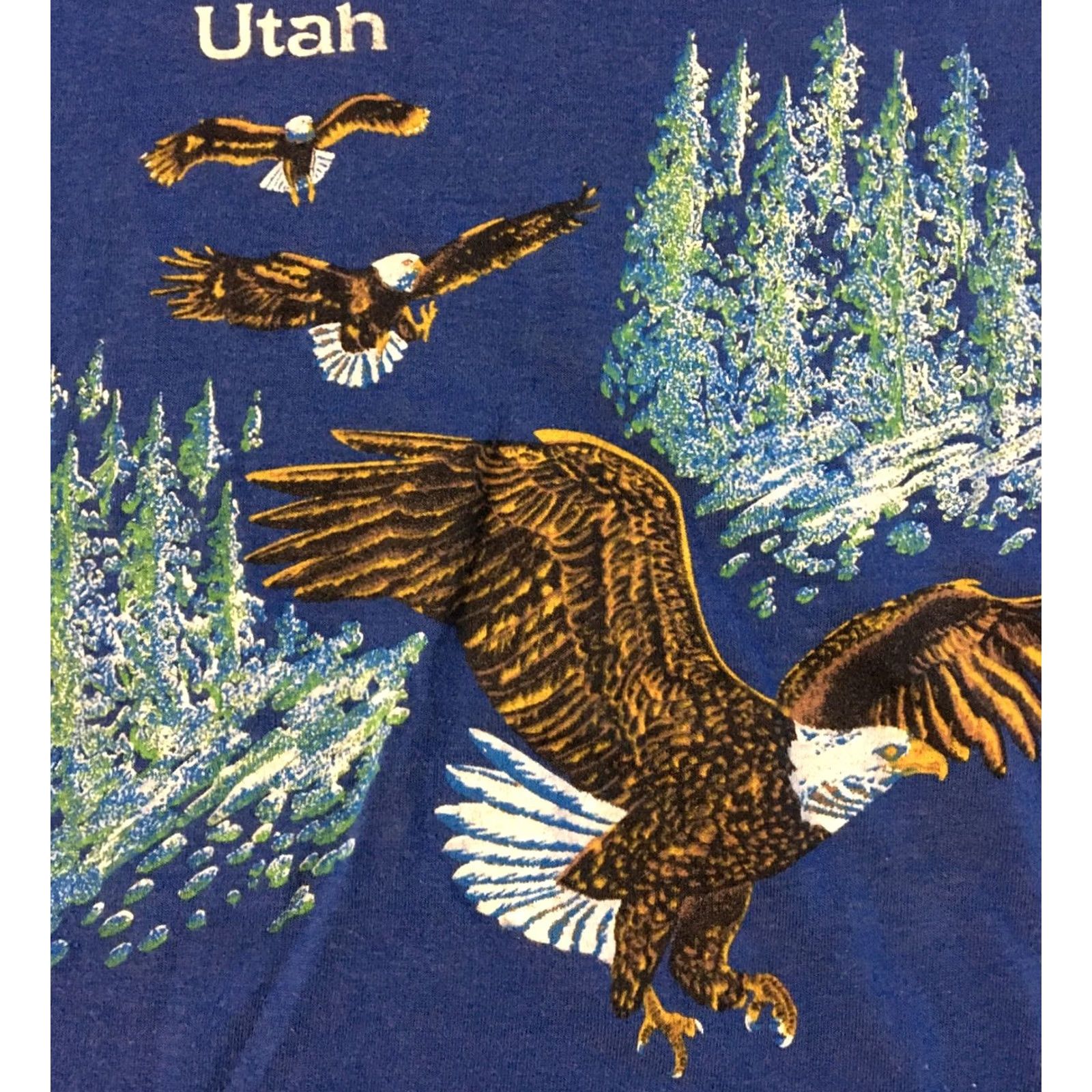 Anvil VINTAGE Utah Bald Eagle Shirt M USA Nature Art Grunge 80s 90s Blue M Mens Anvil Short Sleeve Single Stitch Size US M / EU 48-50 / 2 - 2 Thumbnail
