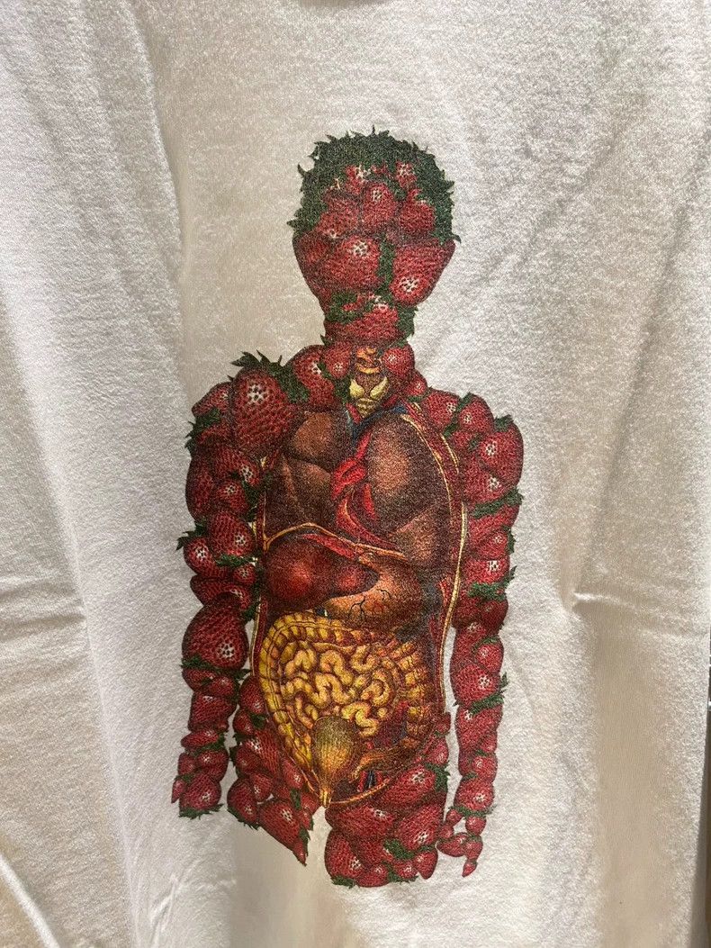 Undercover Undercover 05ss But Beautiful Issue 2 Masterpiece Strawber Size US L / EU 52-54 / 3 - 2 Thumbnail