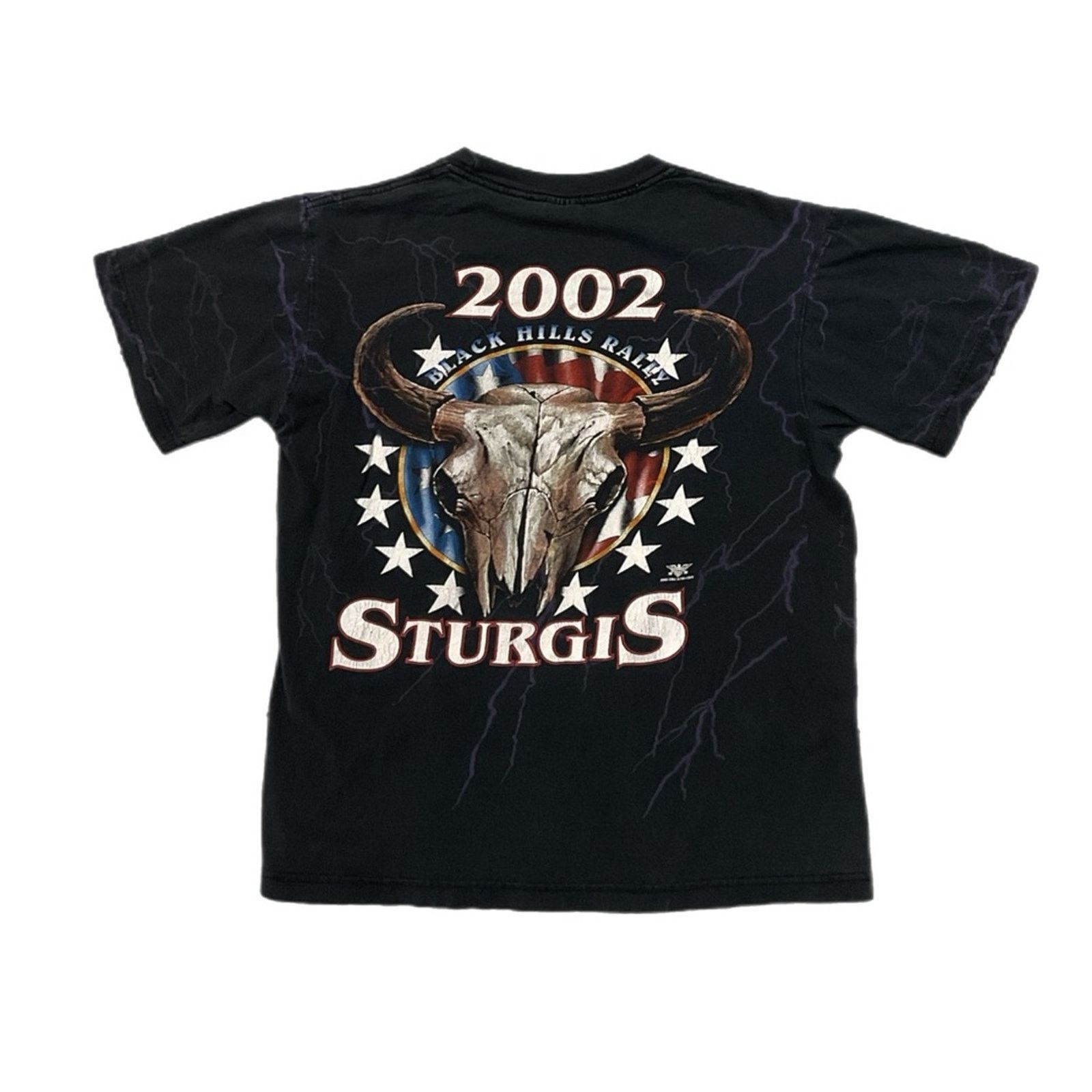 Vintage 2002 NCC Sturgis Lightning Eagle Black Hills Rally T-Shirt Size US M / EU 48-50 / 2 - 2 Thumbnail