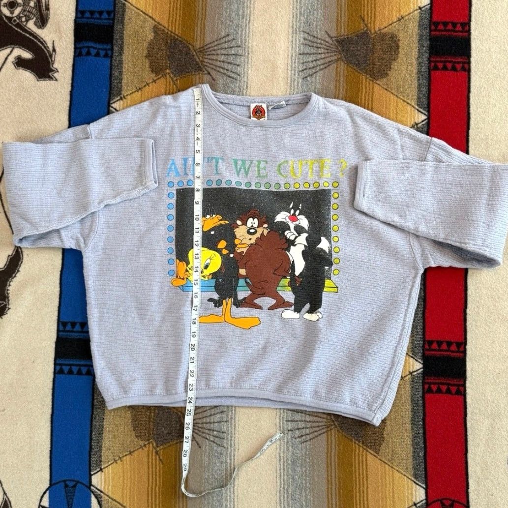 Vintage VINTAGE Looney Tunes Sweatshirt 90s Pullover Women’s XL Taz Tweety Purple Regular Size Size XL / US 12-14 / IT 48-50 - 7 Thumbnail