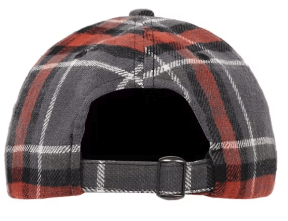 Goretex × Palace Palace Gore-Tex Plaid P 6-Panel Hat Grey Check Size ONE SIZE - 3 Thumbnail