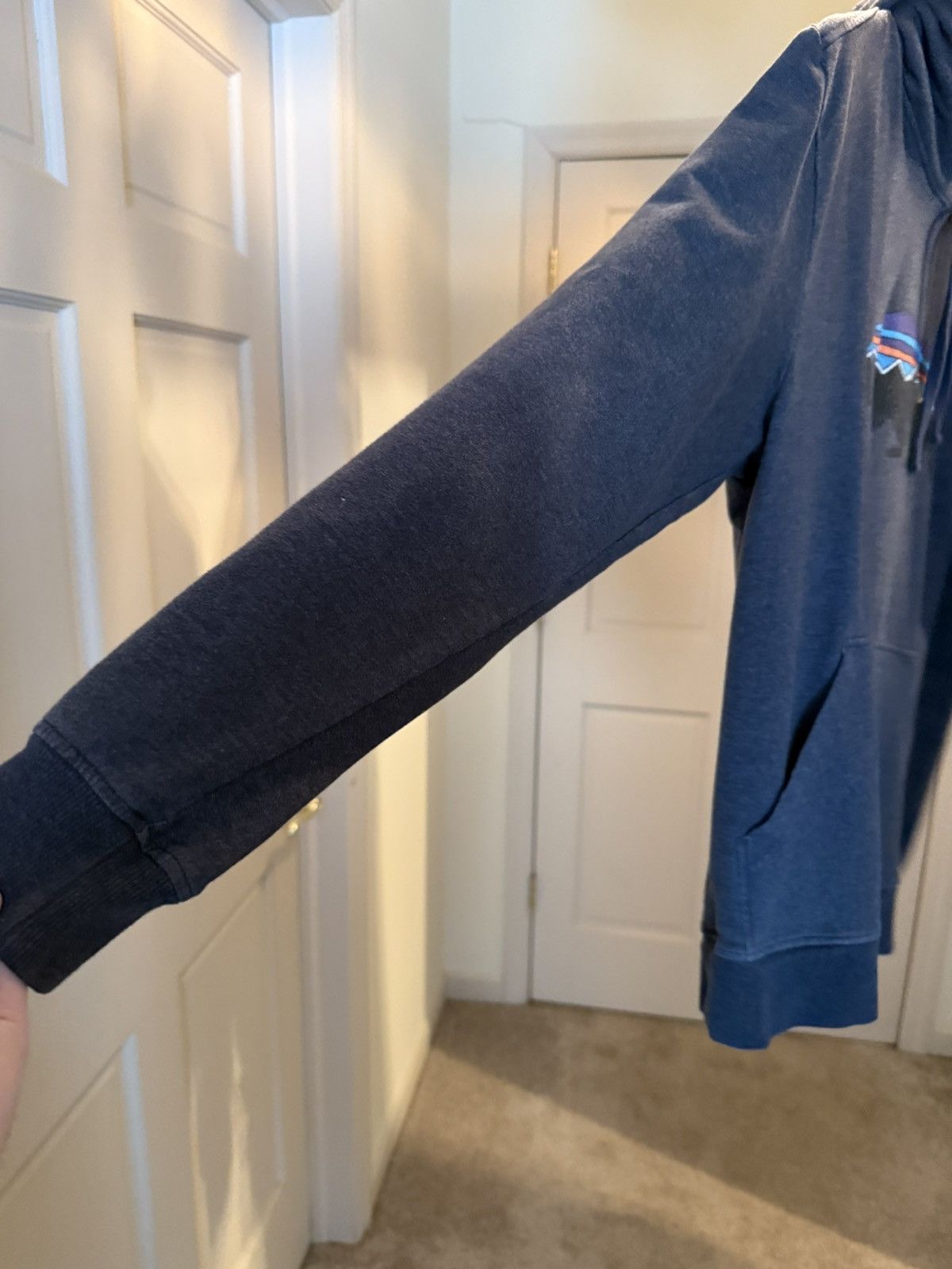 Patagonia × Vintage Patagonia California Bear Hoodie Size US S / EU 44-46 / 1 - 5 Thumbnail