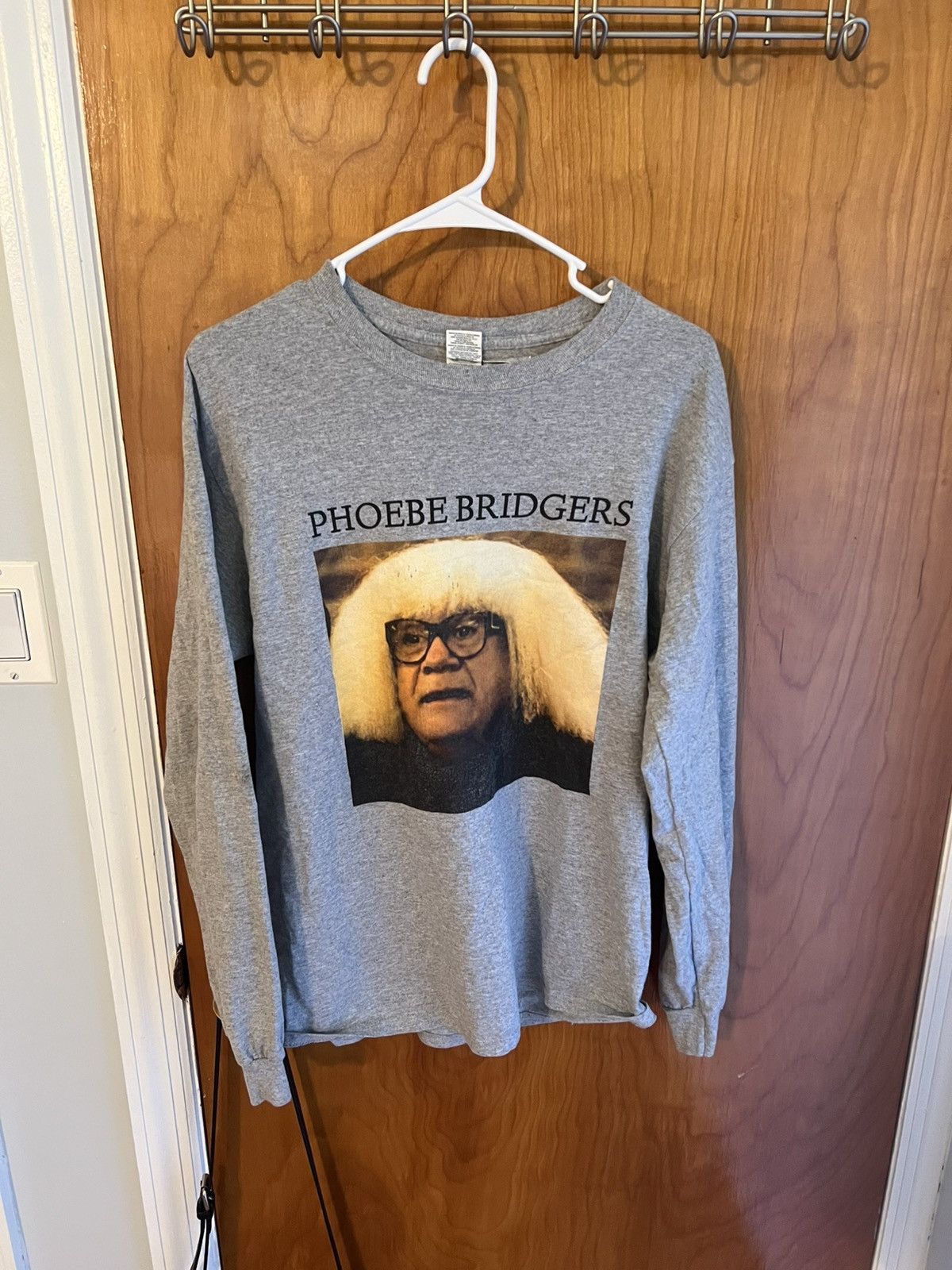 Gildan Phoebe Bridgers/Danny DeVito longsleeve, grey Size US M / EU 48-50 / 2 - 1 Thumbnail