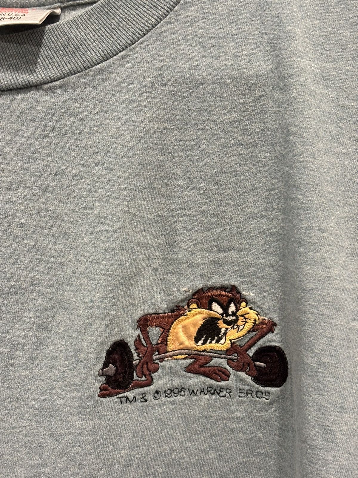 Other Vintage 1996 Weightlifting Taz Looney Tunes Shirt Oneita XL Size US XL / EU 56 / 4 - 9 Thumbnail