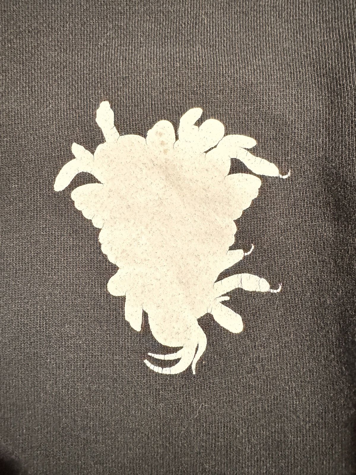 Crooks & Castles Crooks & Castles ‘The Flagrant’ Hoodie Size US XS / EU 42 / 0 - 4 Thumbnail